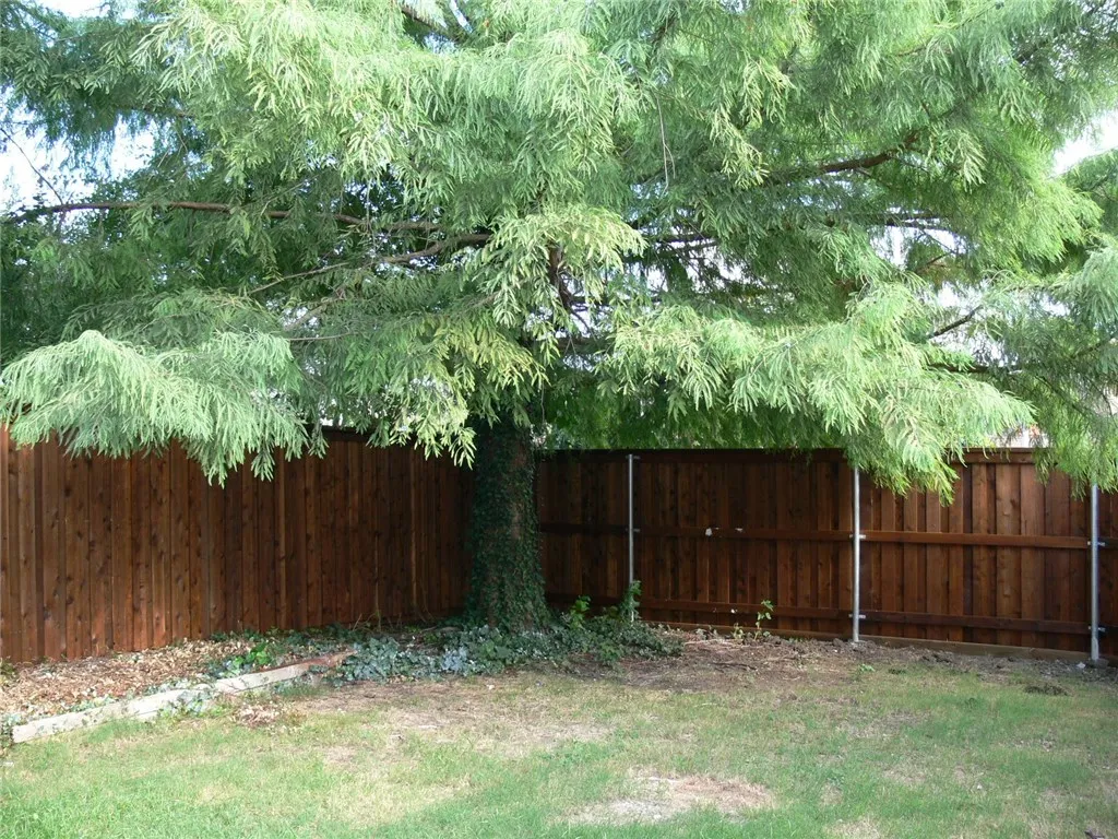 Single Family Residence For Rent in Collin County , 4917 SILVERWEED Drive, Mc Kinney, Texas 75070, 4 Bedroom, 3 Bathroom, 2 Garage spaces, 2,663 Sqft, built in 1999, mls#21371000, Real Estate Agent in Mc Kinney, Homes For Rent in Collin county, Homes For Rent in Mc Kinney, Realtor in Mc Kinney Texas, Real Estate Brokerage Independent Realty Texas, Luminita Cordes Realtor