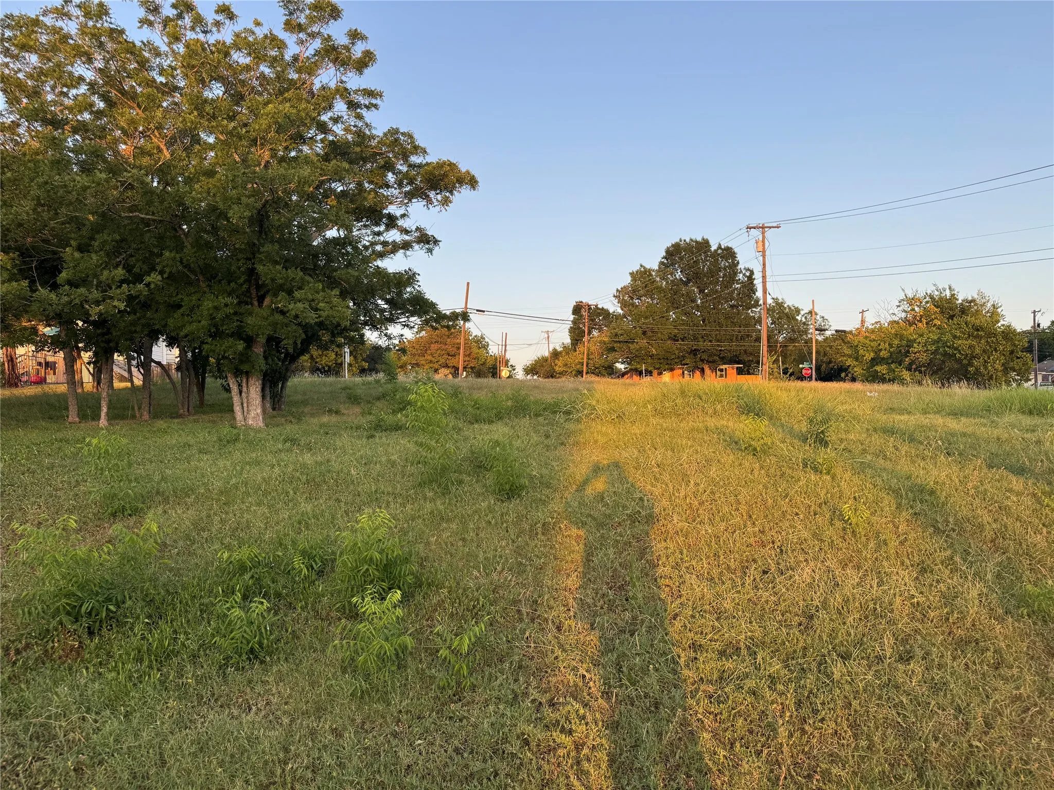 Expansive grassy lot with mature trees