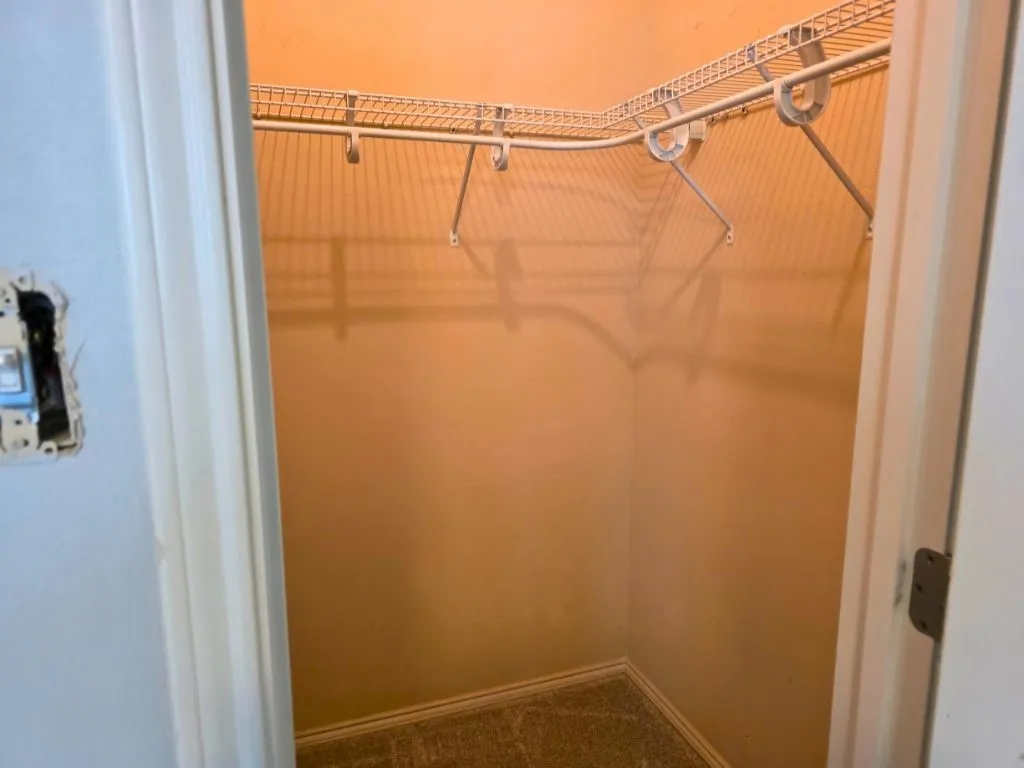 Interior closet featuring wire shelving, wall-to-wall carpeting, and painted walls