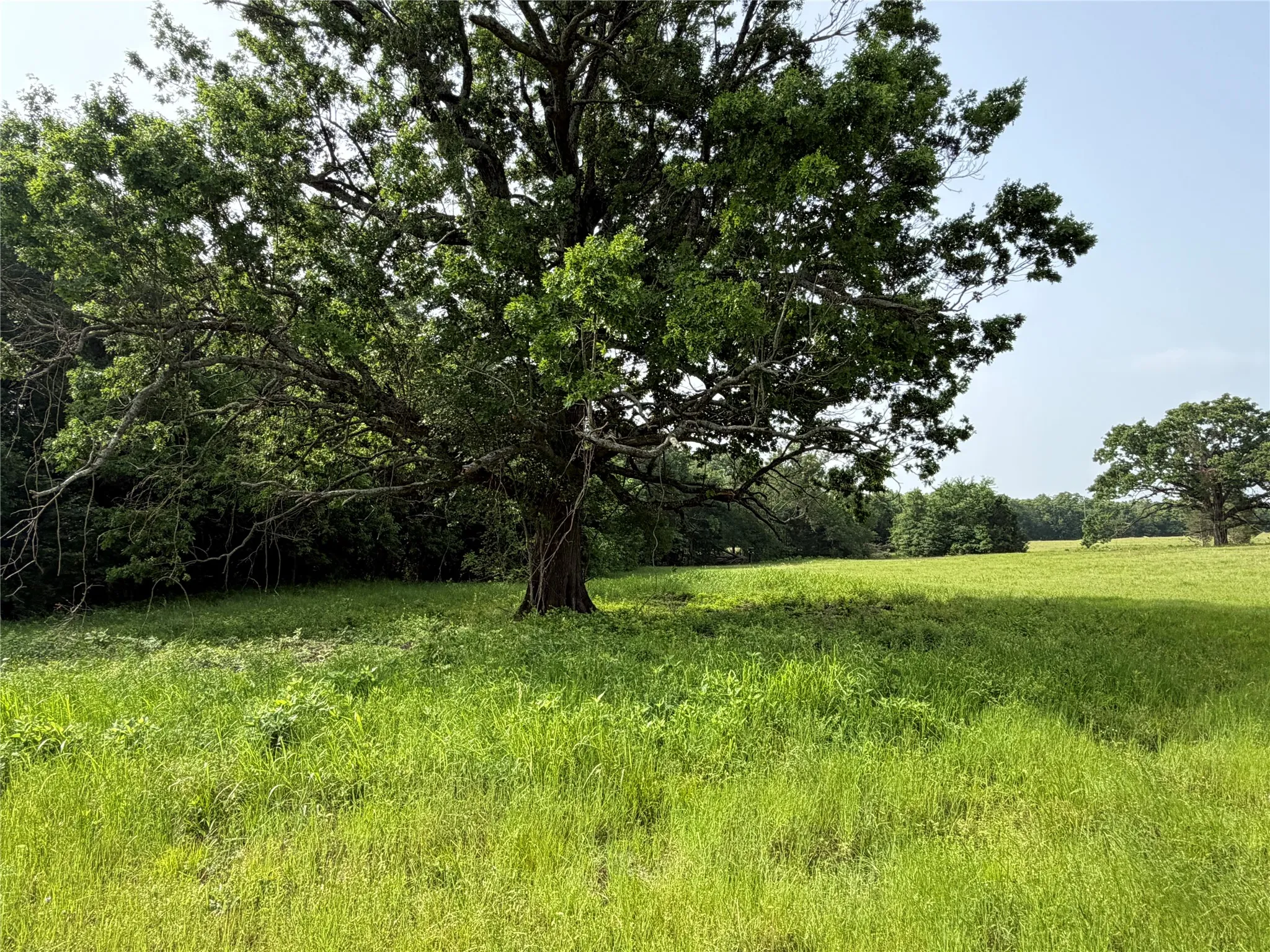 Unimproved Land For Sale in Hopkins County , TBD County Road 1130, Cumby, Texas 75453, 0, 0, Garage spaces, 0 Sqft, built in 0, mls#21371007, Real Estate Agent in Cumby, Homes For Sale in Hopkins county, Homes For Sale in Cumby, Realtor in Cumby Texas, Real Estate Brokerage Independent Realty Texas, Luminita Cordes Realtor