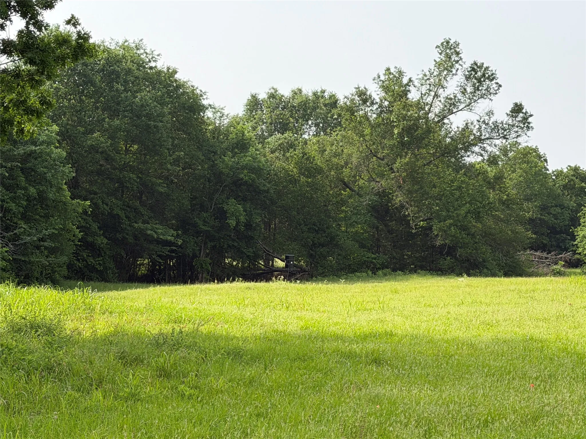 Unimproved Land For Sale in Hopkins County , TBD County Road 1130, Cumby, Texas 75453, 0, 0, Garage spaces, 0 Sqft, built in 0, mls#21371007, Real Estate Agent in Cumby, Homes For Sale in Hopkins county, Homes For Sale in Cumby, Realtor in Cumby Texas, Real Estate Brokerage Independent Realty Texas, Luminita Cordes Realtor
