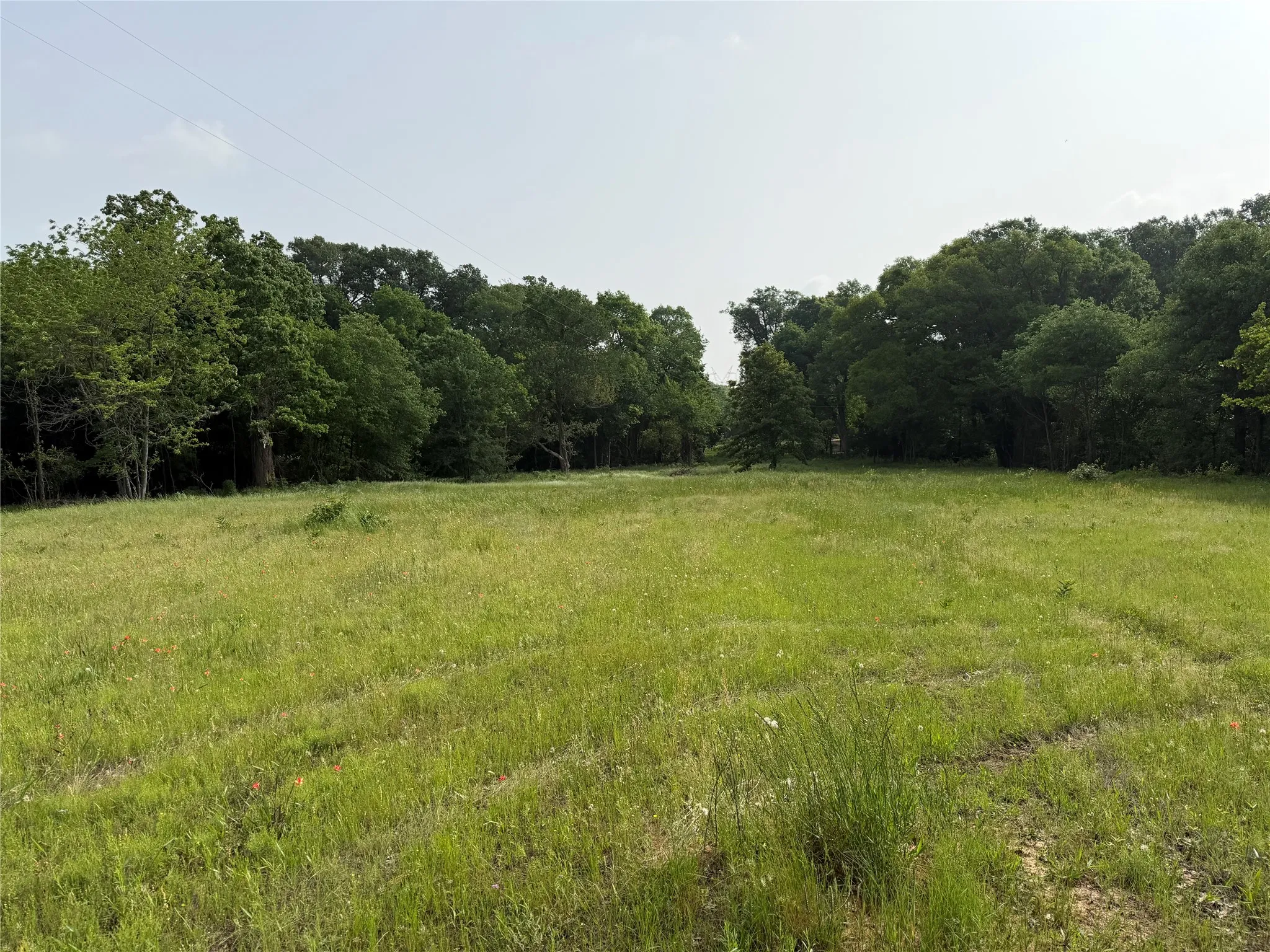 Unimproved Land For Sale in Hopkins County , TBD County Road 1130, Cumby, Texas 75453, 0, 0, Garage spaces, 0 Sqft, built in 0, mls#21371007, Real Estate Agent in Cumby, Homes For Sale in Hopkins county, Homes For Sale in Cumby, Realtor in Cumby Texas, Real Estate Brokerage Independent Realty Texas, Luminita Cordes Realtor
