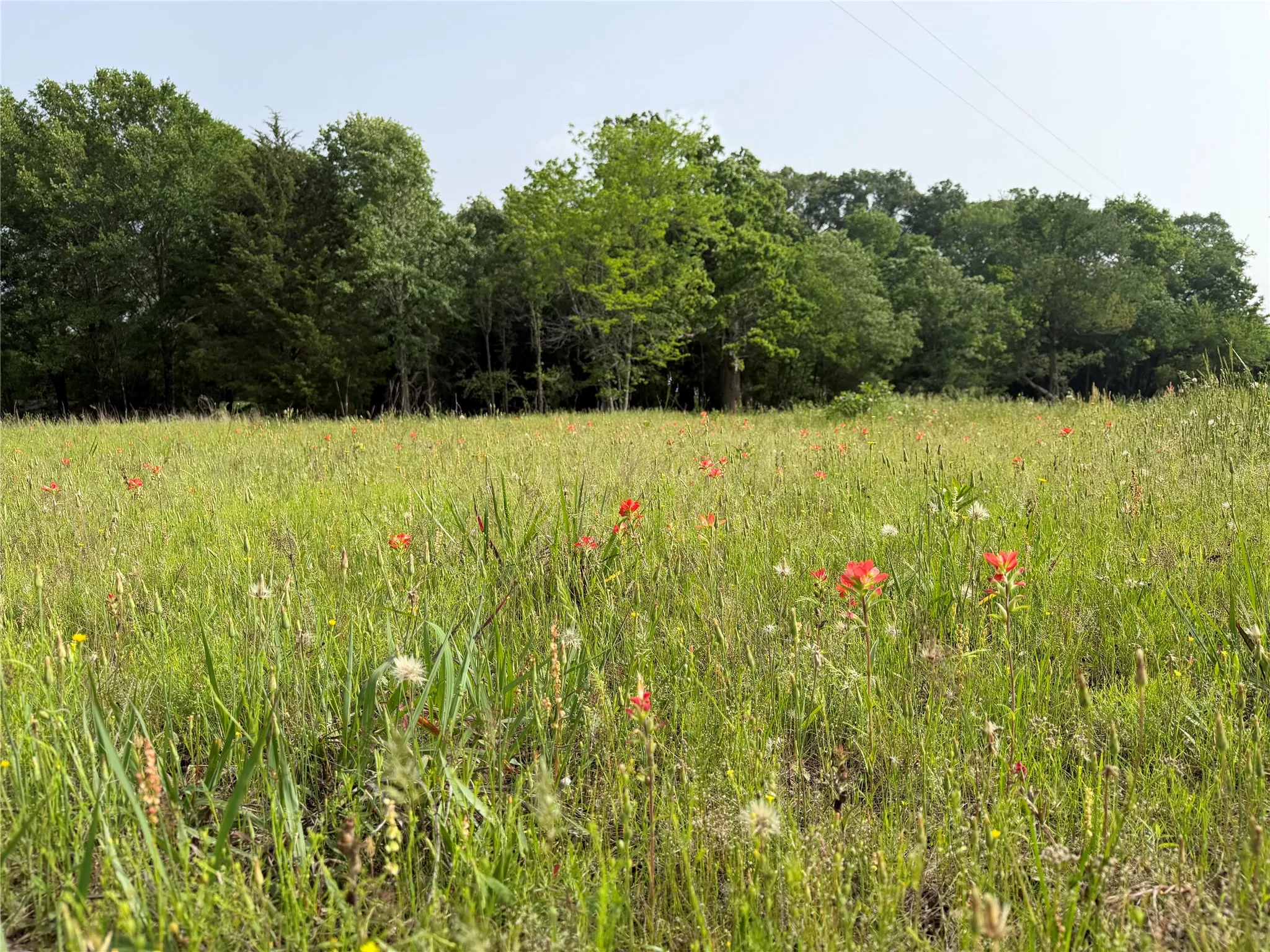 Unimproved Land For Sale in Hopkins County , TBD County Road 1130, Cumby, Texas 75453, 0, 0, Garage spaces, 0 Sqft, built in 0, mls#21371007, Real Estate Agent in Cumby, Homes For Sale in Hopkins county, Homes For Sale in Cumby, Realtor in Cumby Texas, Real Estate Brokerage Independent Realty Texas, Luminita Cordes Realtor