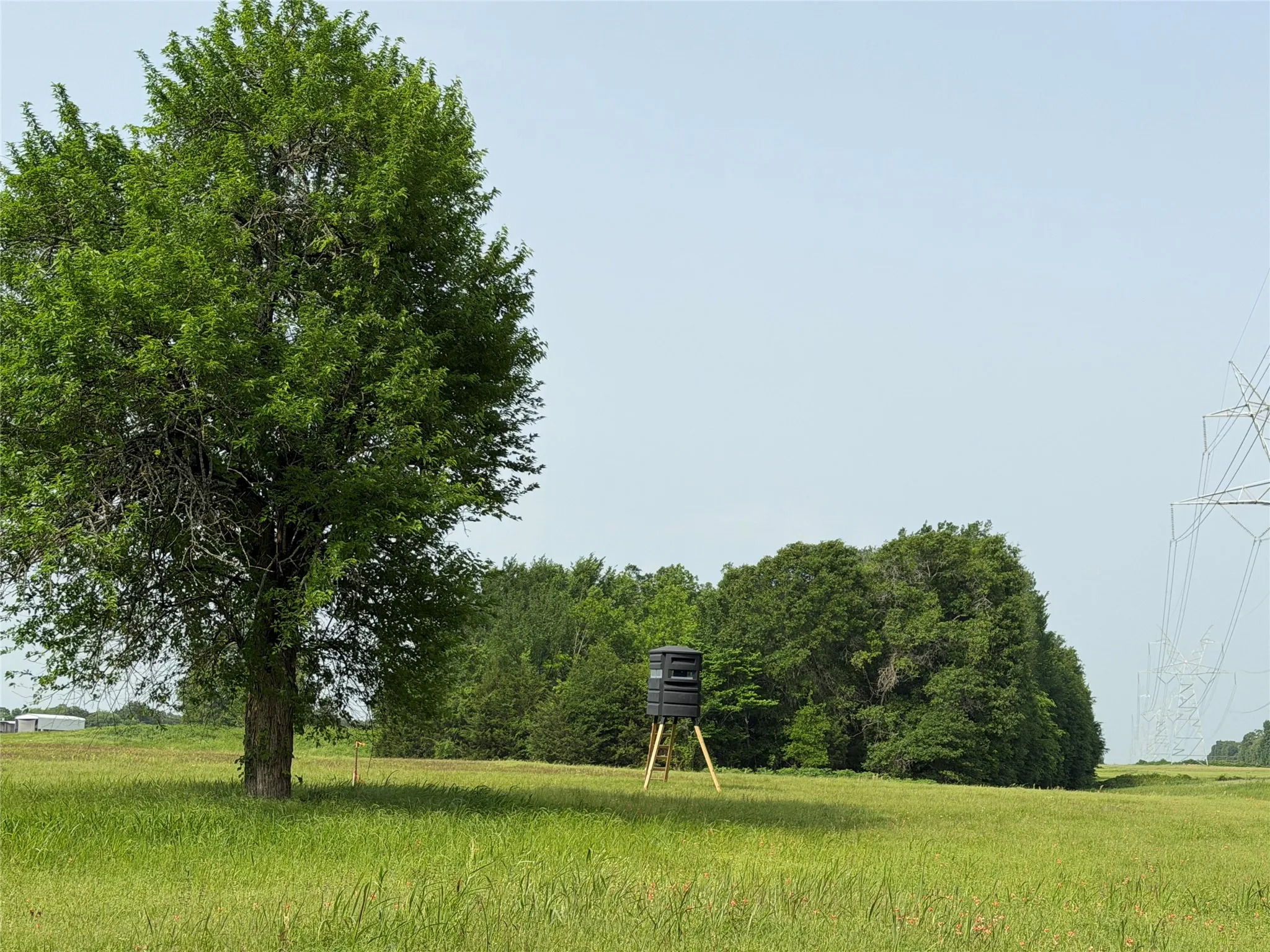 Unimproved Land For Sale in Hopkins County , TBD County Road 1130, Cumby, Texas 75453, 0, 0, Garage spaces, 0 Sqft, built in 0, mls#21371007, Real Estate Agent in Cumby, Homes For Sale in Hopkins county, Homes For Sale in Cumby, Realtor in Cumby Texas, Real Estate Brokerage Independent Realty Texas, Luminita Cordes Realtor
