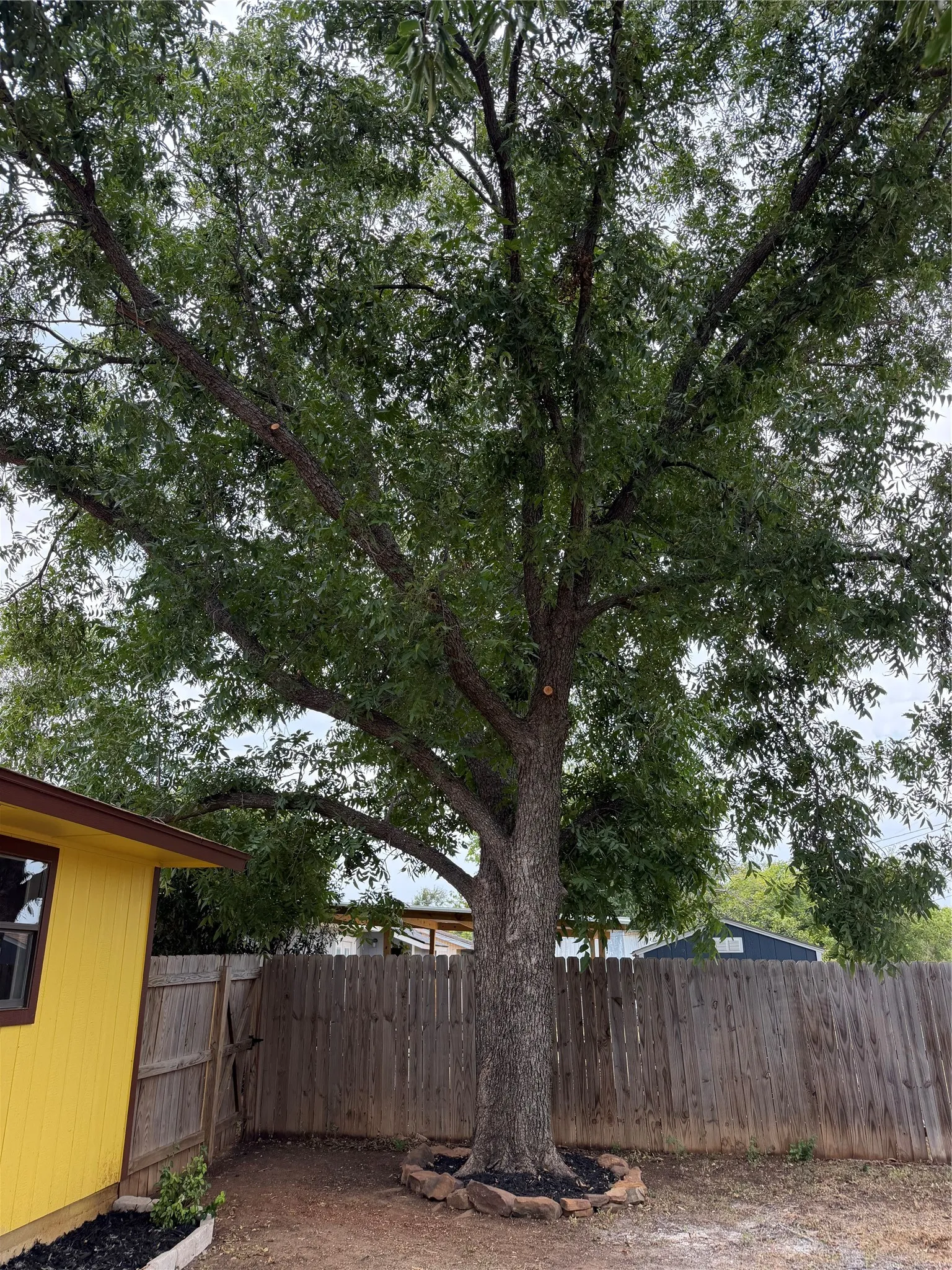 Single Family Residence For Sale in Brown County , 4403 Westridge Drive, Brownwood, Texas 76801, 4 Bedroom, 2 Bathroom, 1 Garage spaces, 1,105 Sqft, built in 1984, mls#21371008, Real Estate Agent in Brownwood, Homes For Sale in Brown county, Homes For Sale in Brownwood, Realtor in Brownwood Texas, Real Estate Brokerage Independent Realty Texas, Luminita Cordes Realtor