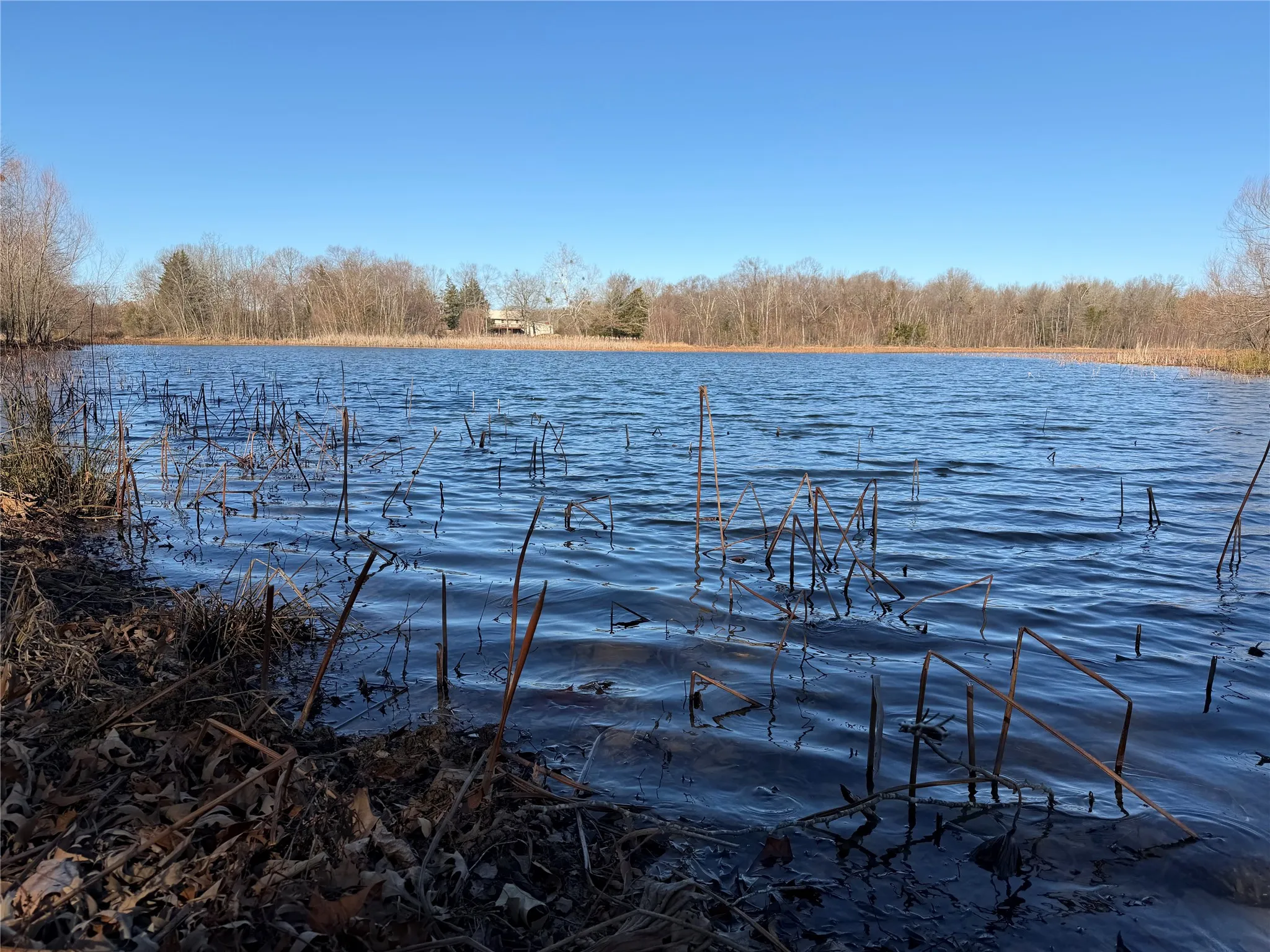 Improved Land For Sale in Lamar County , 3055 FM 194, Blossom, Texas 75416, 0, 0, Garage spaces, 0 Sqft, built in 0, mls#21371076, Real Estate Agent in Blossom, Homes For Sale in Lamar county, Homes For Sale in Blossom, Realtor in Blossom Texas, Real Estate Brokerage Independent Realty Texas, Luminita Cordes Realtor