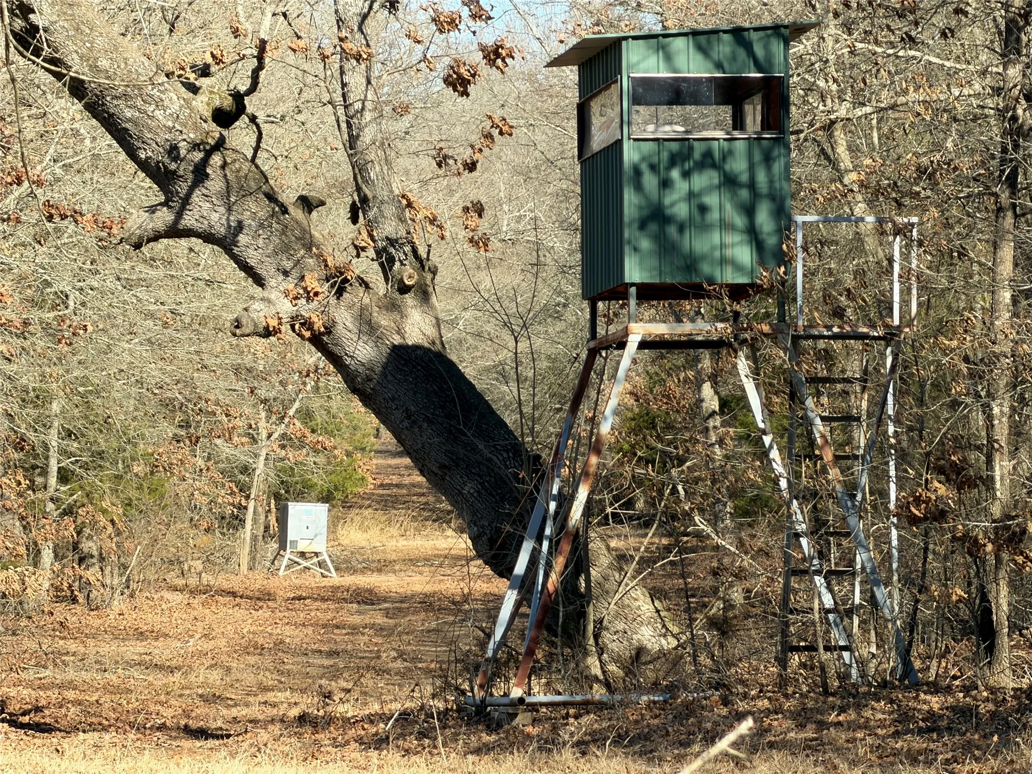 Improved Land For Sale in Lamar County , 3055 FM 194, Blossom, Texas 75416, 0, 0, Garage spaces, 0 Sqft, built in 0, mls#21371076, Real Estate Agent in Blossom, Homes For Sale in Lamar county, Homes For Sale in Blossom, Realtor in Blossom Texas, Real Estate Brokerage Independent Realty Texas, Luminita Cordes Realtor