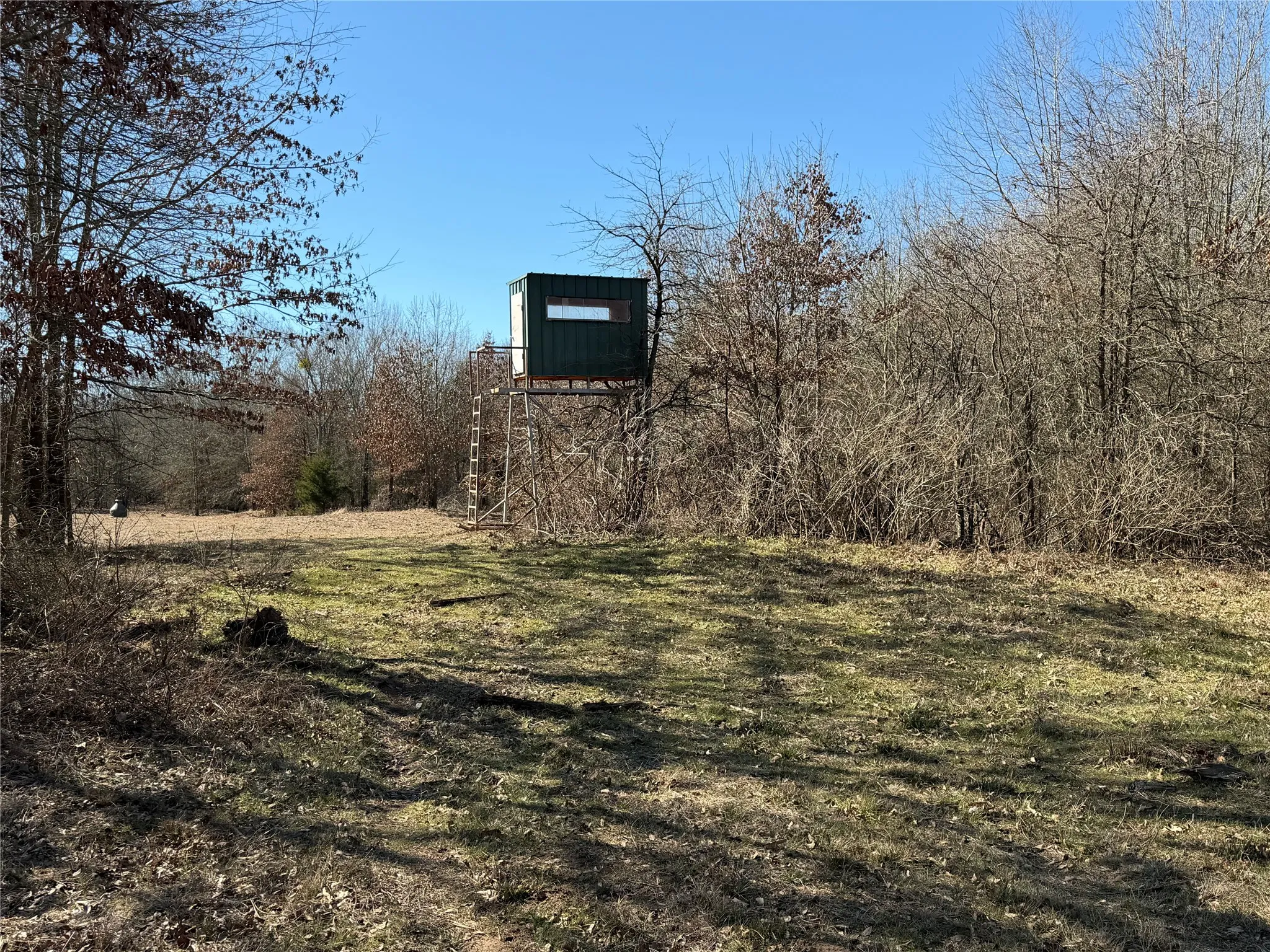 Improved Land For Sale in Lamar County , 3055 FM 194, Blossom, Texas 75416, 0, 0, Garage spaces, 0 Sqft, built in 0, mls#21371076, Real Estate Agent in Blossom, Homes For Sale in Lamar county, Homes For Sale in Blossom, Realtor in Blossom Texas, Real Estate Brokerage Independent Realty Texas, Luminita Cordes Realtor