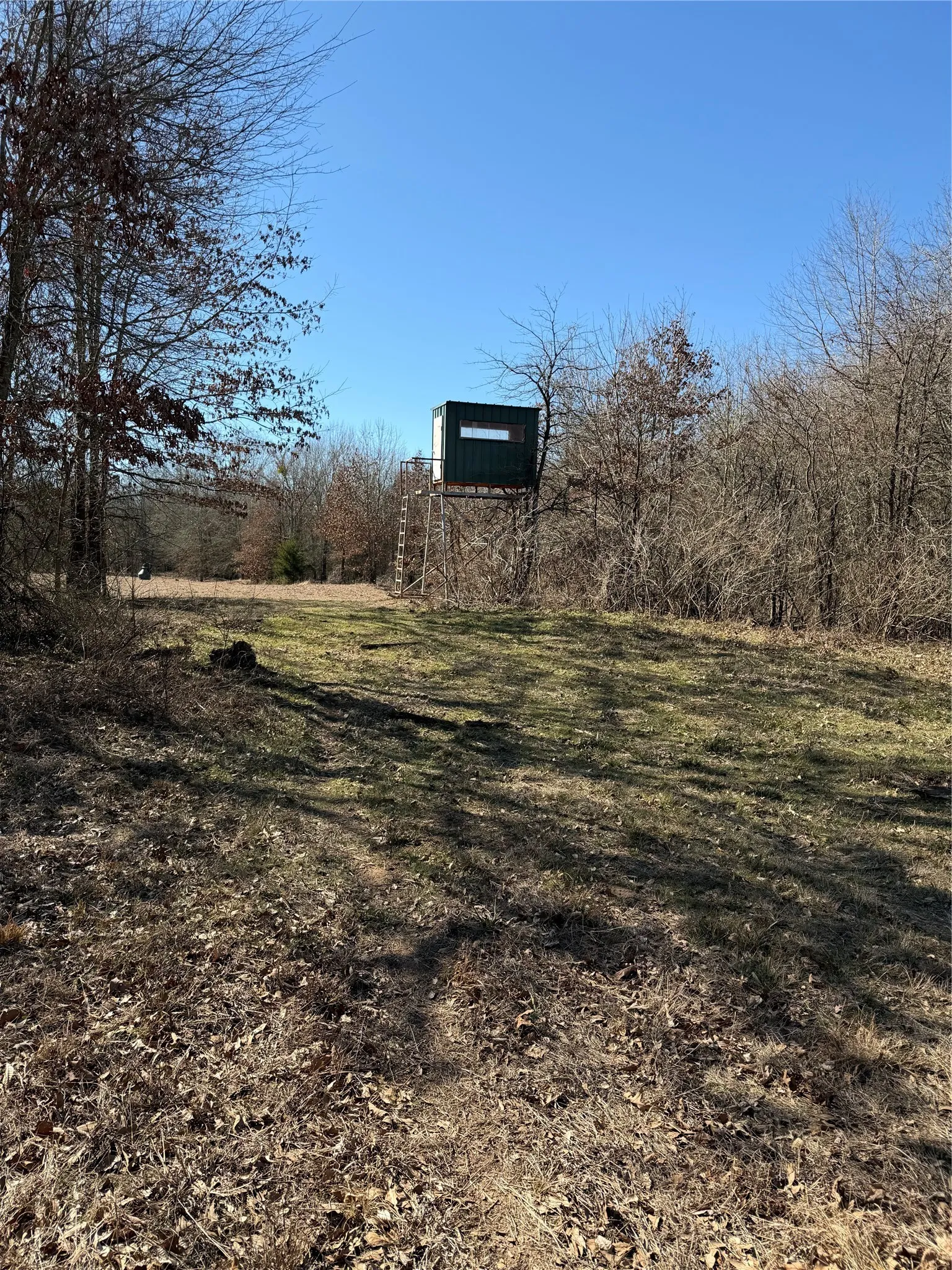Improved Land For Sale in Lamar County , 3055 FM 194, Blossom, Texas 75416, 0, 0, Garage spaces, 0 Sqft, built in 0, mls#21371076, Real Estate Agent in Blossom, Homes For Sale in Lamar county, Homes For Sale in Blossom, Realtor in Blossom Texas, Real Estate Brokerage Independent Realty Texas, Luminita Cordes Realtor