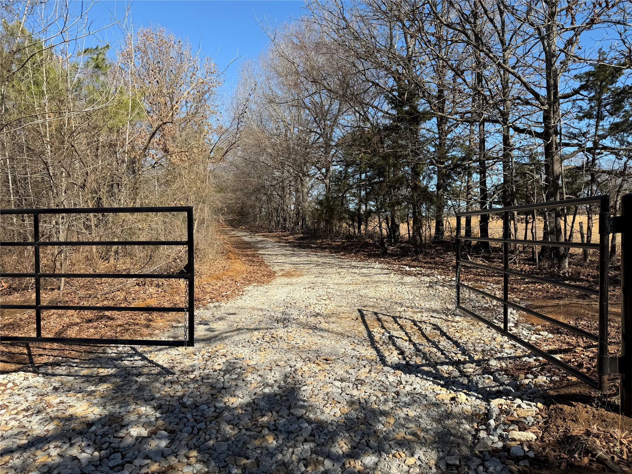 Improved Land For Sale in Lamar County , 3055 FM 194, Blossom, Texas 75416, 0, 0, Garage spaces, 0 Sqft, built in 0, mls#21371076, Real Estate Agent in Blossom, Homes For Sale in Lamar county, Homes For Sale in Blossom, Realtor in Blossom Texas, Real Estate Brokerage Independent Realty Texas, Luminita Cordes Realtor