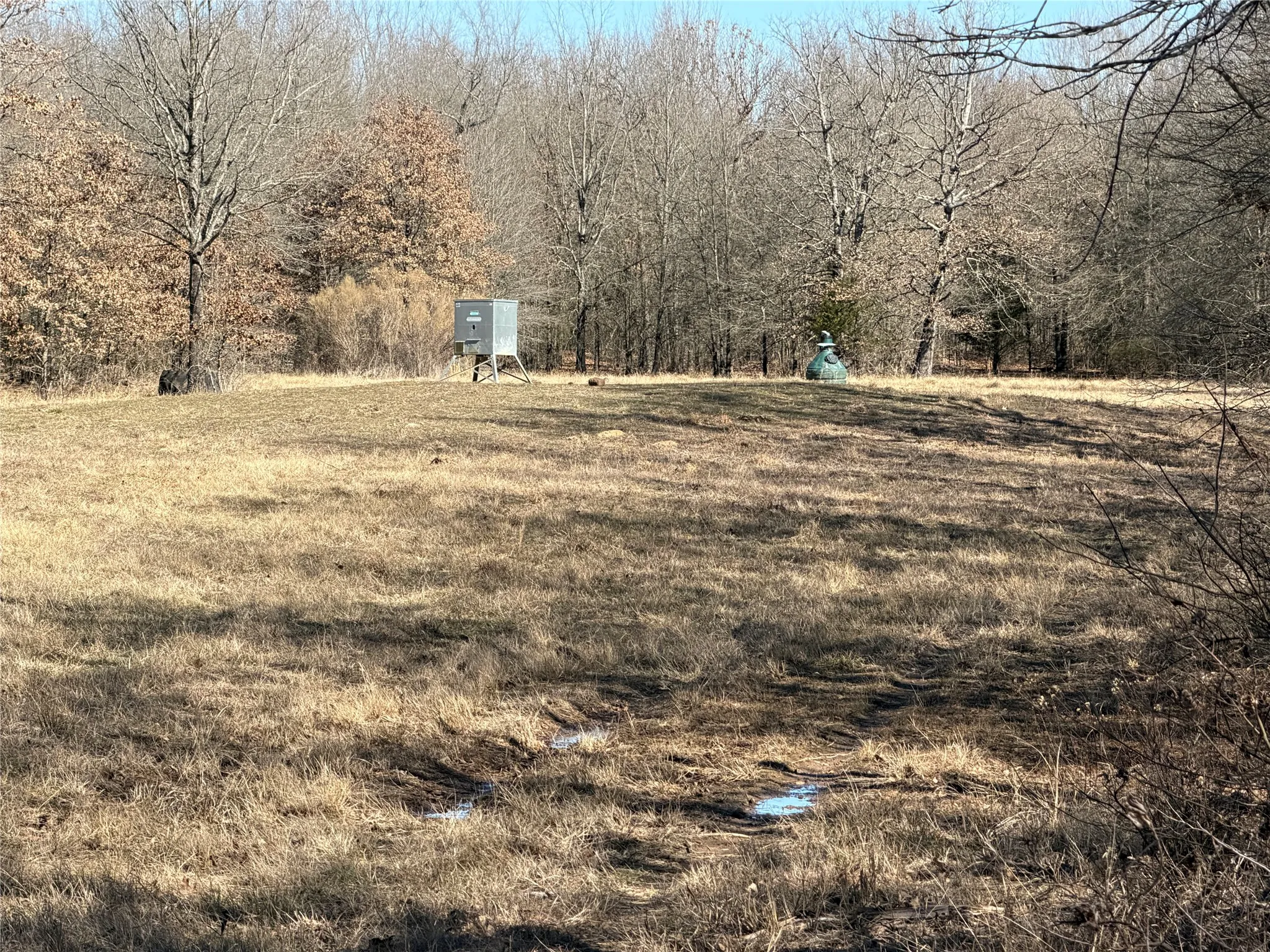Improved Land For Sale in Lamar County , 3055 FM 194, Blossom, Texas 75416, 0, 0, Garage spaces, 0 Sqft, built in 0, mls#21371076, Real Estate Agent in Blossom, Homes For Sale in Lamar county, Homes For Sale in Blossom, Realtor in Blossom Texas, Real Estate Brokerage Independent Realty Texas, Luminita Cordes Realtor