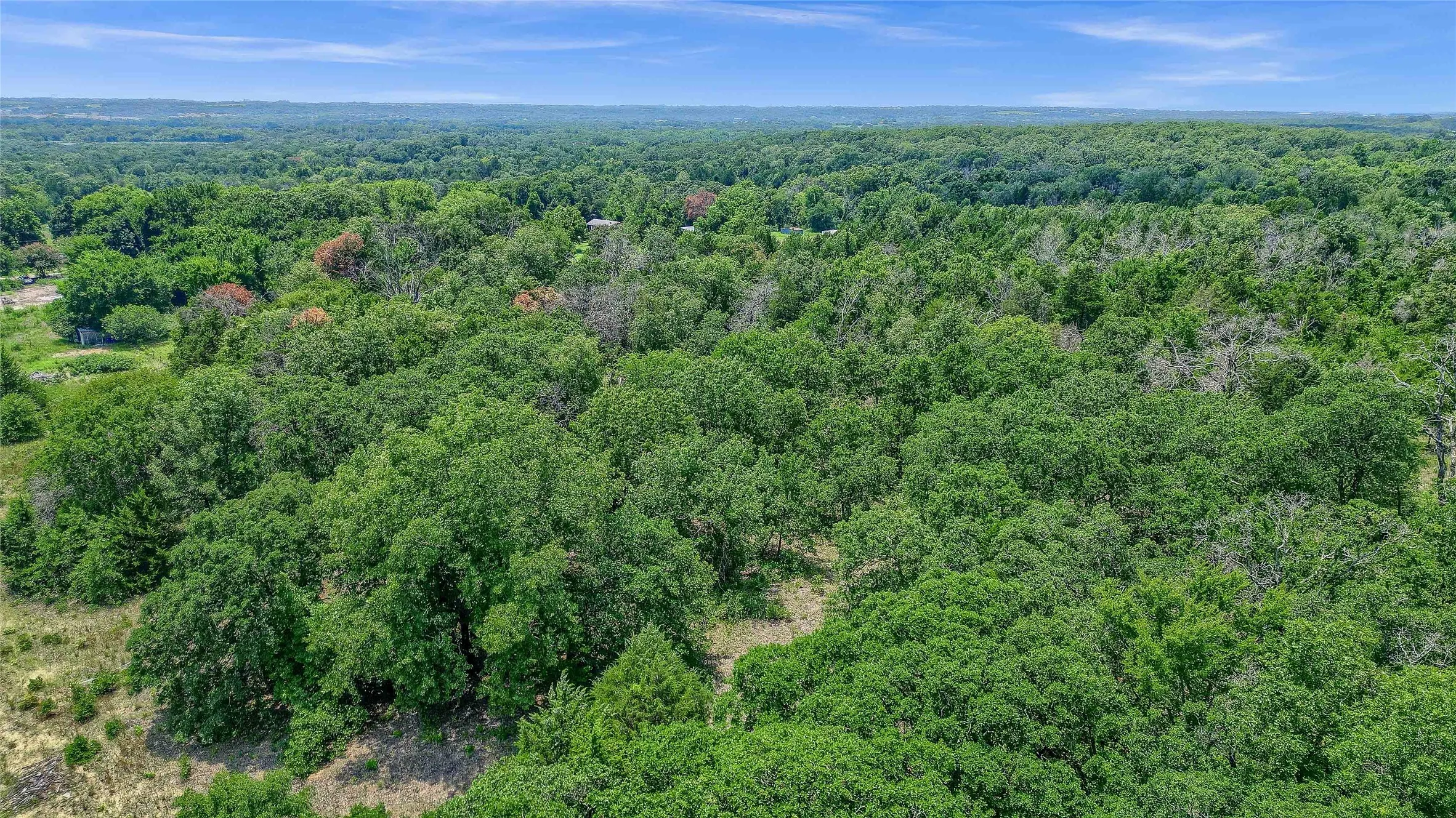 Expansive treed landscape under a clear blue sky