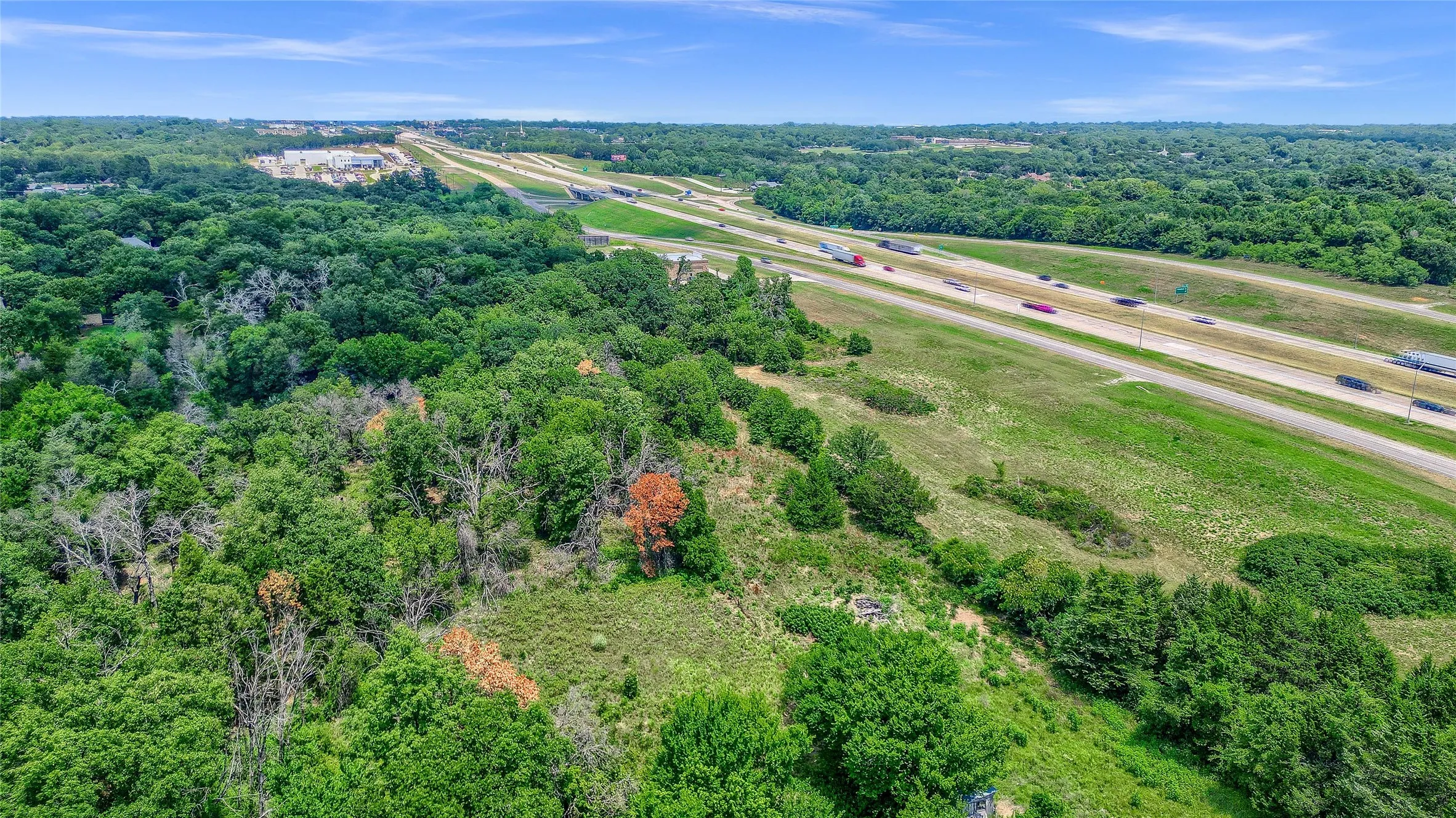 Expansive undeveloped land with abundant mature trees and natural vegetation
