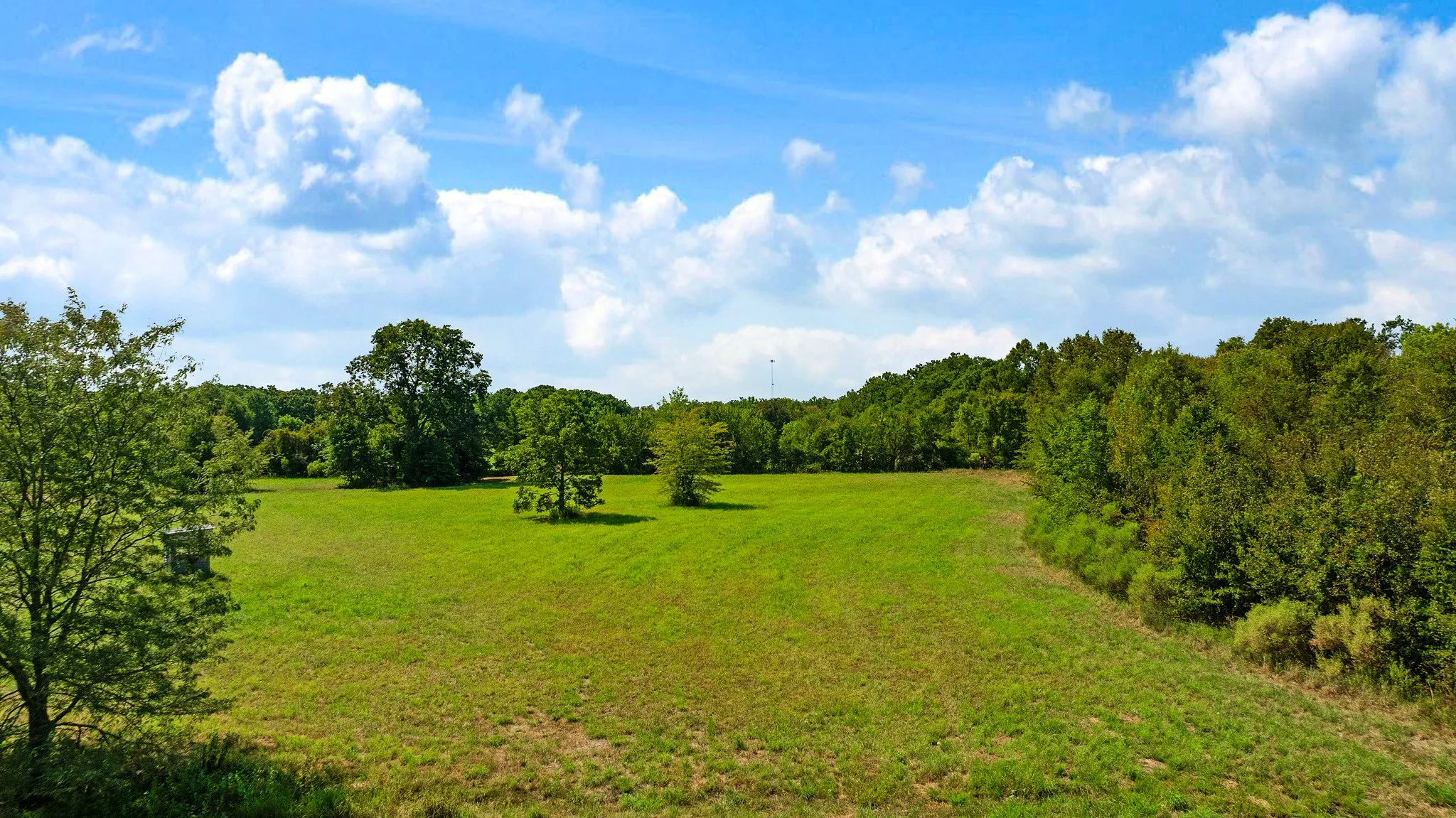 Improved Land For Sale in Red River (TX) County , TBD S HWY 37, Bogata, Texas 75417, 0, 0, Garage spaces, 0 Sqft, built in 0, mls#21370775, Real Estate Agent in Bogata, Homes For Sale in Red River (TX) county, Homes For Sale in Bogata, Realtor in Bogata Texas, Real Estate Brokerage Independent Realty Texas, Luminita Cordes Realtor