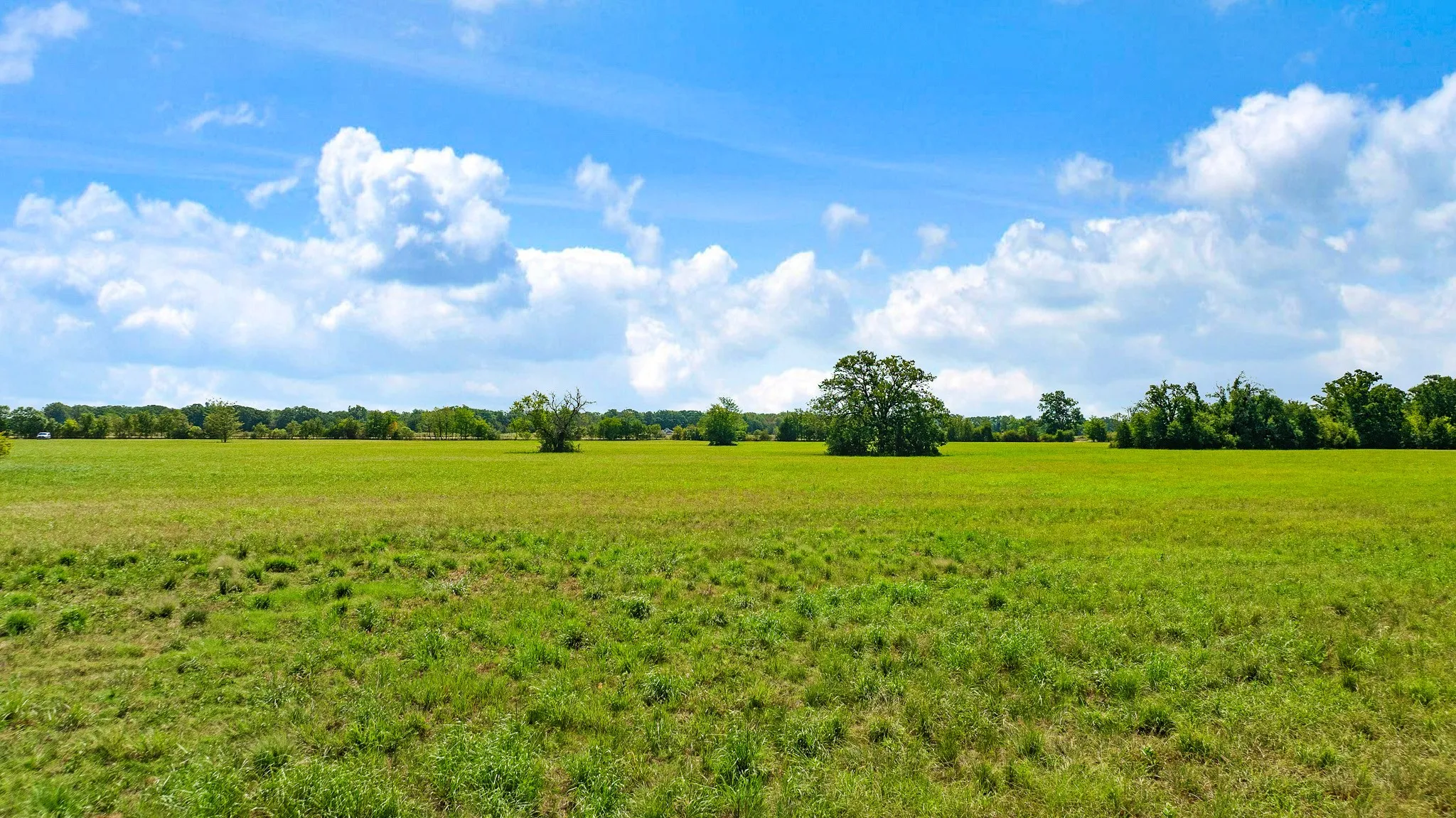 Improved Land For Sale in Red River (TX) County , TBD S HWY 37, Bogata, Texas 75417, 0, 0, Garage spaces, 0 Sqft, built in 0, mls#21370775, Real Estate Agent in Bogata, Homes For Sale in Red River (TX) county, Homes For Sale in Bogata, Realtor in Bogata Texas, Real Estate Brokerage Independent Realty Texas, Luminita Cordes Realtor