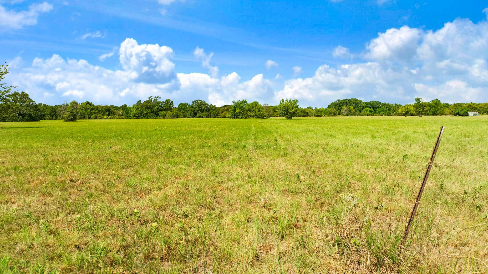 Improved Land For Sale in Red River (TX) County , TBD S HWY 37, Bogata, Texas 75417, 0, 0, Garage spaces, 0 Sqft, built in 0, mls#21370775, Real Estate Agent in Bogata, Homes For Sale in Red River (TX) county, Homes For Sale in Bogata, Realtor in Bogata Texas, Real Estate Brokerage Independent Realty Texas, Luminita Cordes Realtor