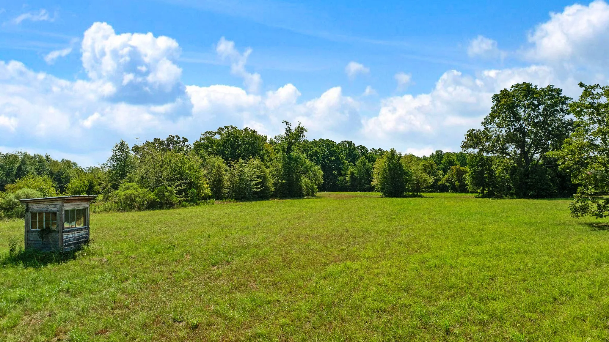 Improved Land For Sale in Red River (TX) County , TBD S HWY 37, Bogata, Texas 75417, 0, 0, Garage spaces, 0 Sqft, built in 0, mls#21370775, Real Estate Agent in Bogata, Homes For Sale in Red River (TX) county, Homes For Sale in Bogata, Realtor in Bogata Texas, Real Estate Brokerage Independent Realty Texas, Luminita Cordes Realtor