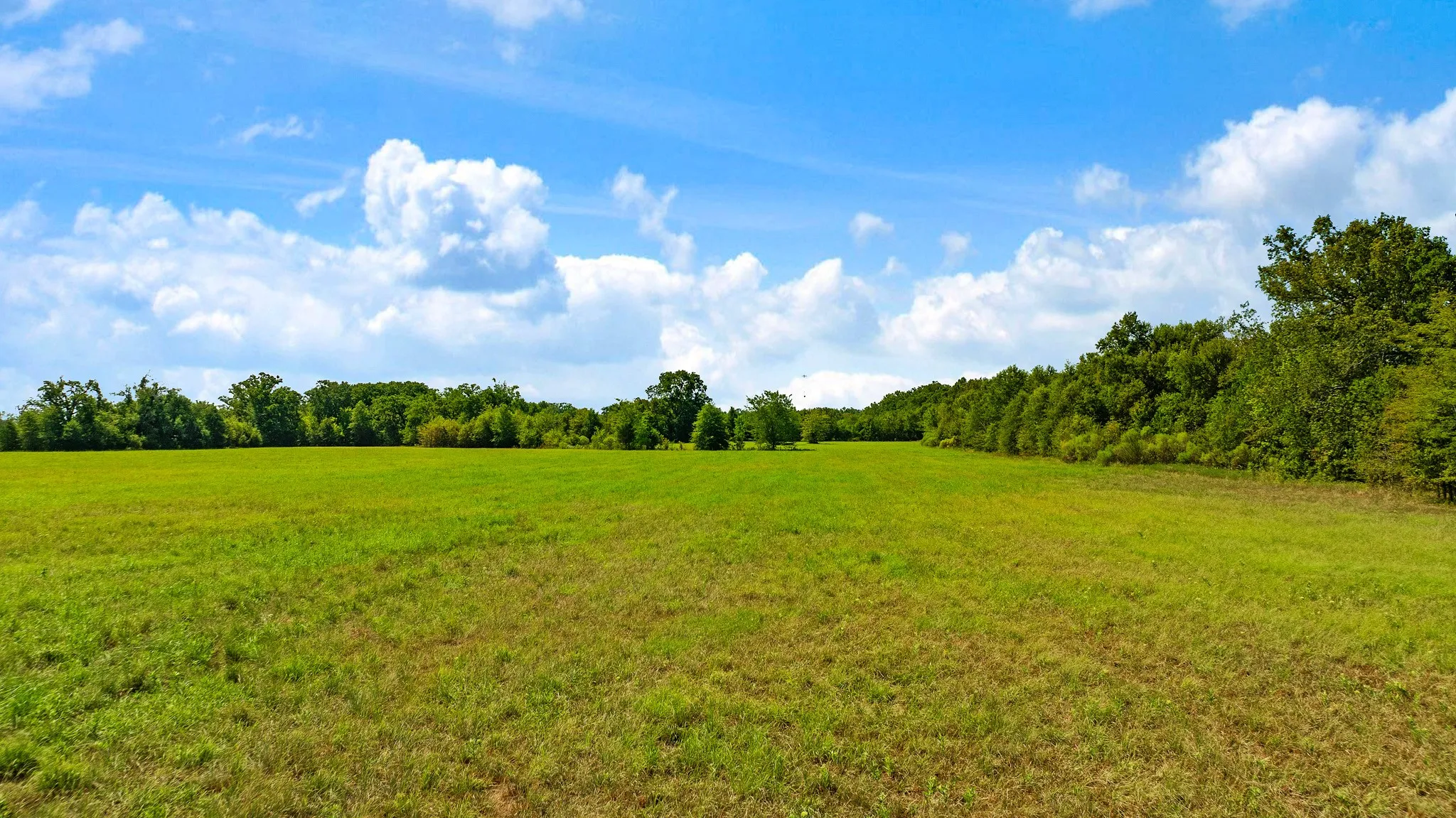 Improved Land For Sale in Red River (TX) County , TBD S HWY 37, Bogata, Texas 75417, 0, 0, Garage spaces, 0 Sqft, built in 0, mls#21370775, Real Estate Agent in Bogata, Homes For Sale in Red River (TX) county, Homes For Sale in Bogata, Realtor in Bogata Texas, Real Estate Brokerage Independent Realty Texas, Luminita Cordes Realtor
