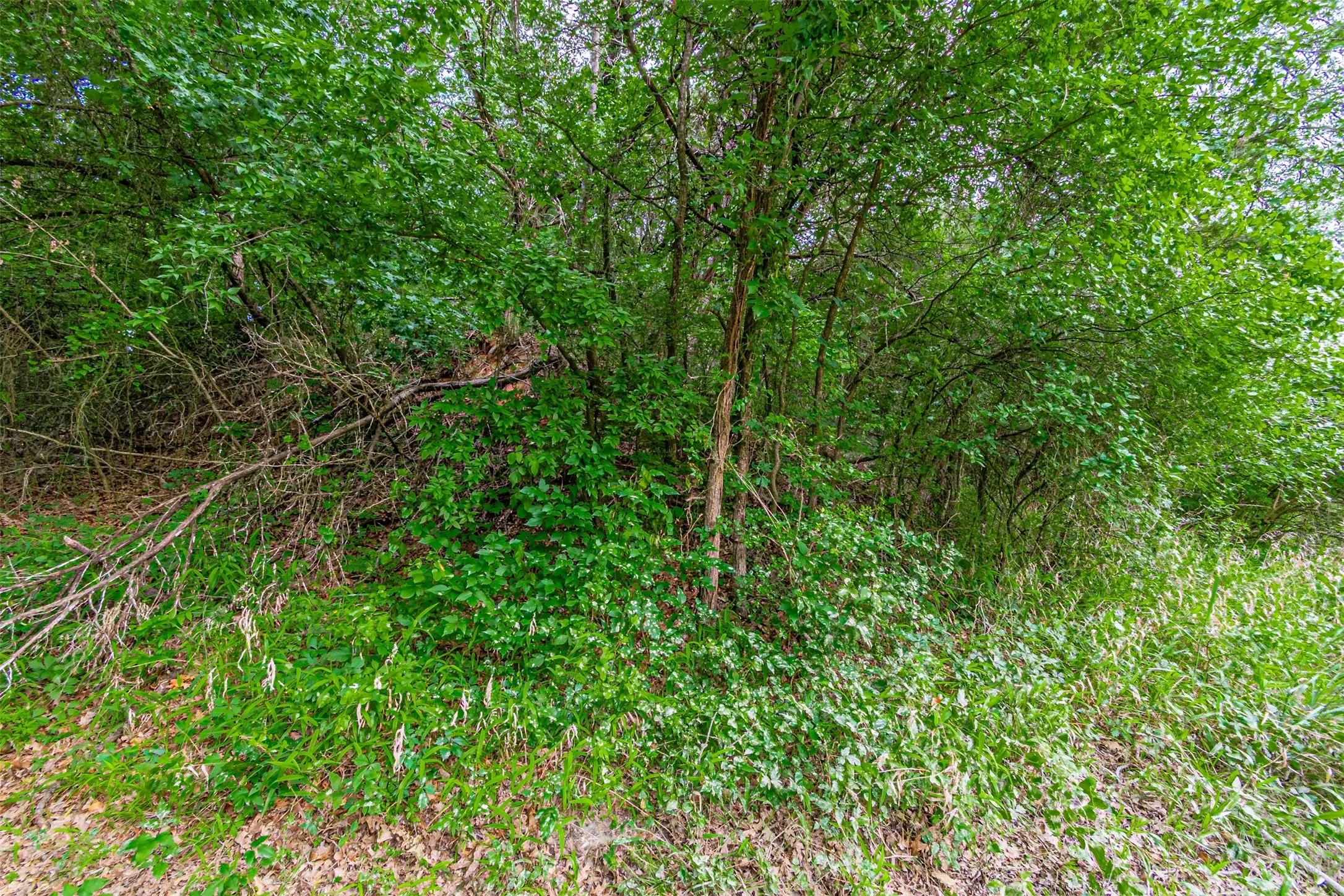 Unimproved Land For Sale in Hood County , 2811 River View Trail, Granbury, Texas 76048, 0, 0, Garage spaces, 0 Sqft, built in 0, mls#21371224, Real Estate Agent in Granbury, Homes For Sale in Hood county, Homes For Sale in Granbury, Realtor in Granbury Texas, Real Estate Brokerage Independent Realty Texas, Luminita Cordes Realtor
