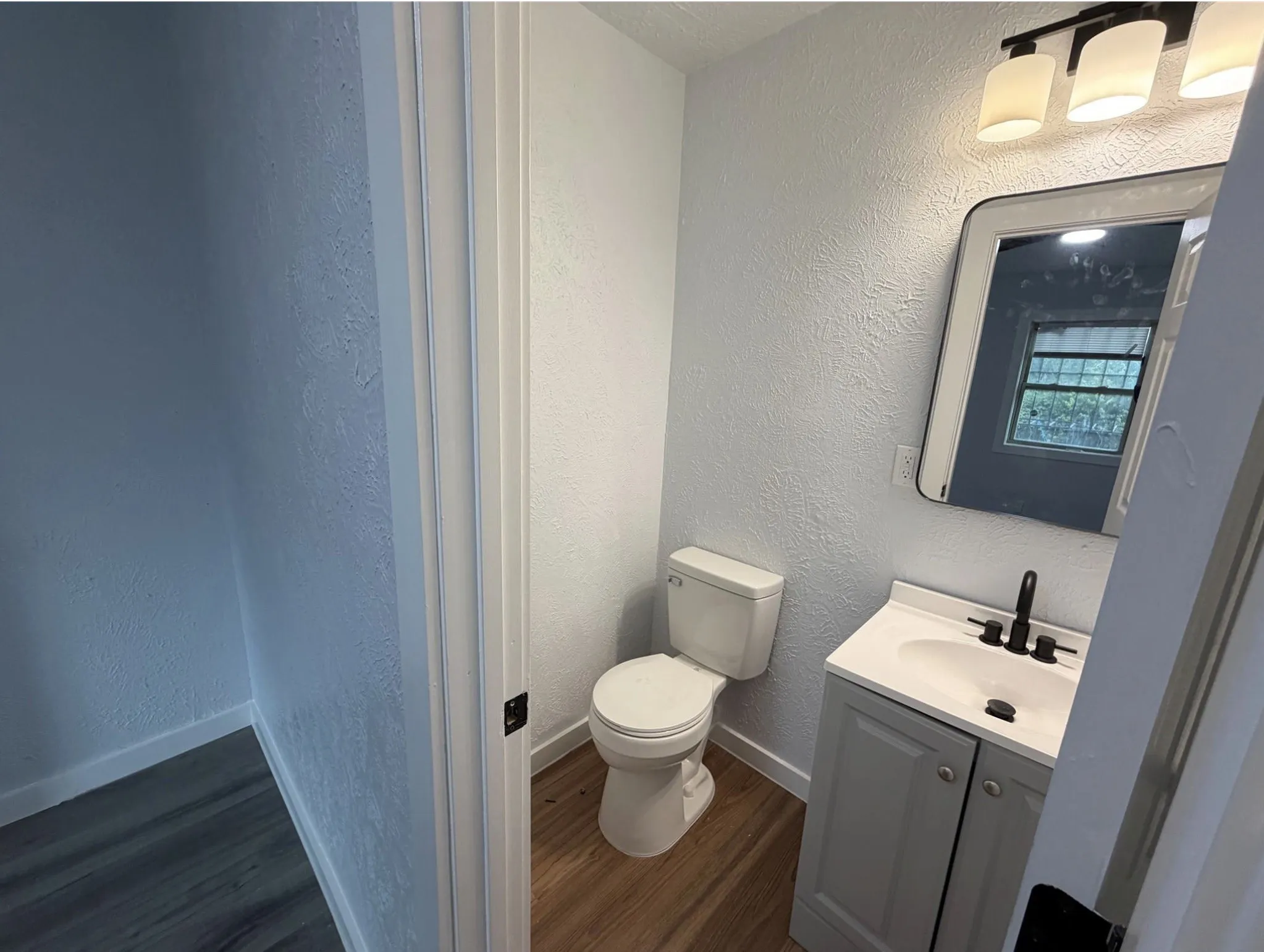 Vanity with a single-basin sink, black faucet, and three-light fixture, wood-finish flooring, and a wall-mounted mirror