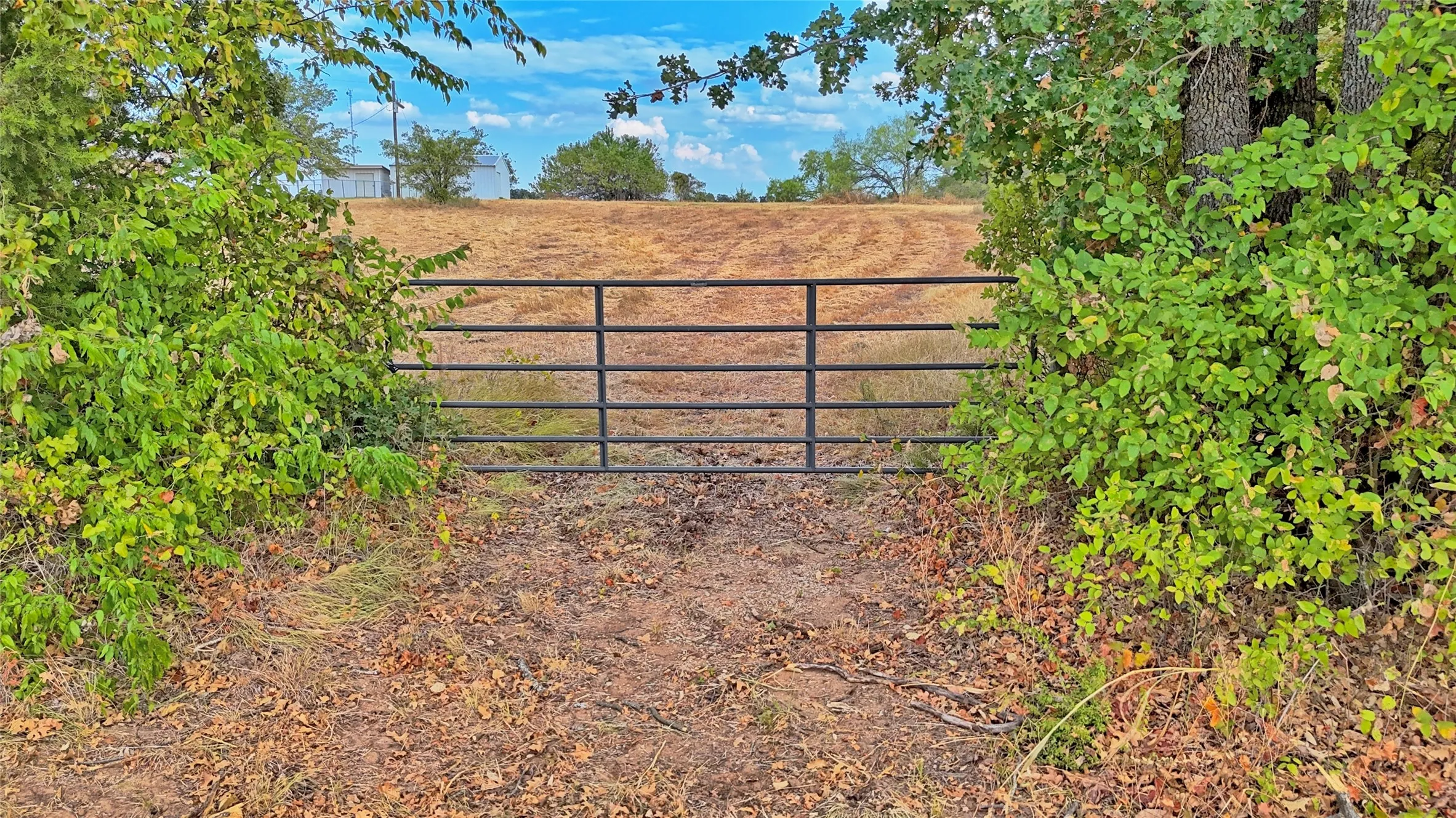 Single Family Residence For Sale in Montague County , 437 Jakes Road, Bowie, Texas 76230, 3 Bedroom, 2 Bathroom, 2 Garage spaces, 1,781 Sqft, built in 1976, mls#21371170, Real Estate Agent in Bowie, Homes For Sale in Montague county, Homes For Sale in Bowie, Realtor in Bowie Texas, Real Estate Brokerage Independent Realty Texas, Luminita Cordes Realtor