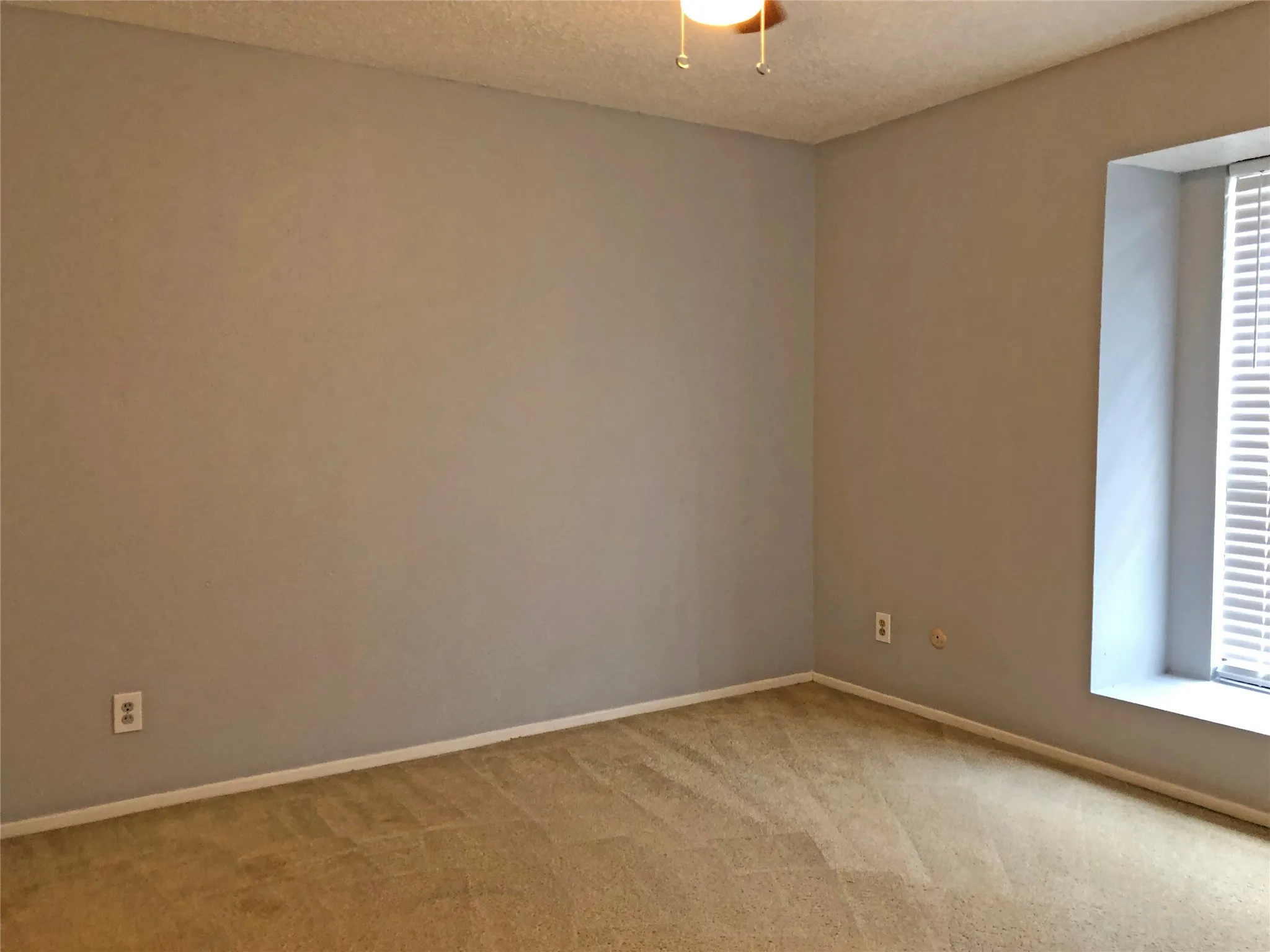 Primary with plush new carpet