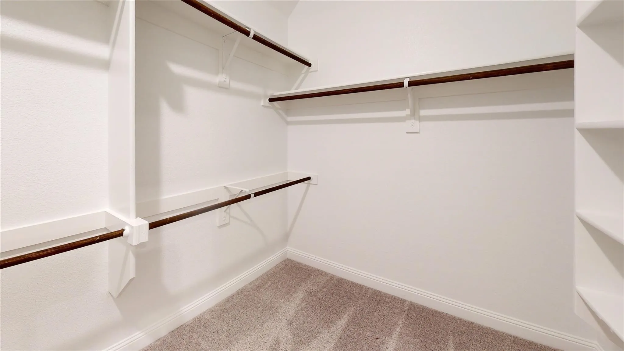 Walk-in closet featuring white shelving, dark wood-finish hanging rods, and light gray carpet