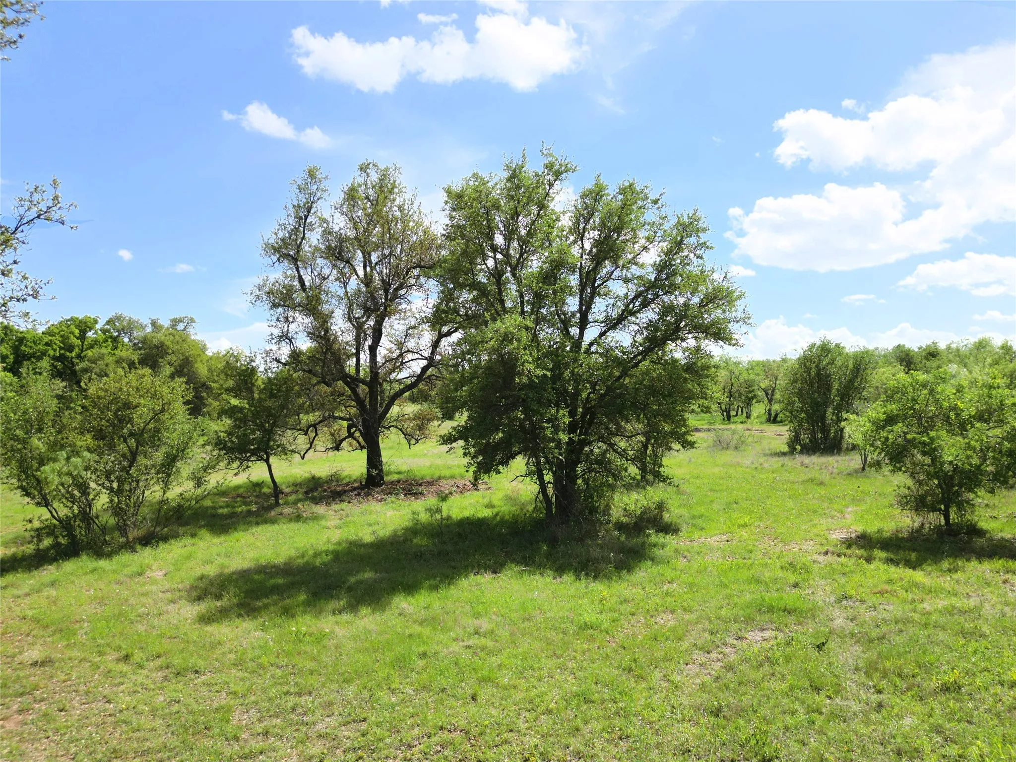 Ranch For Sale in Eastland County , Tract 1 FM 2526 & 569, Cisco, Texas 76437, 0, 0, Garage spaces, 0 Sqft, built in 0, mls#21371183, Real Estate Agent in Cisco, Homes For Sale in Eastland county, Homes For Sale in Cisco, Realtor in Cisco Texas, Real Estate Brokerage Independent Realty Texas, Luminita Cordes Realtor