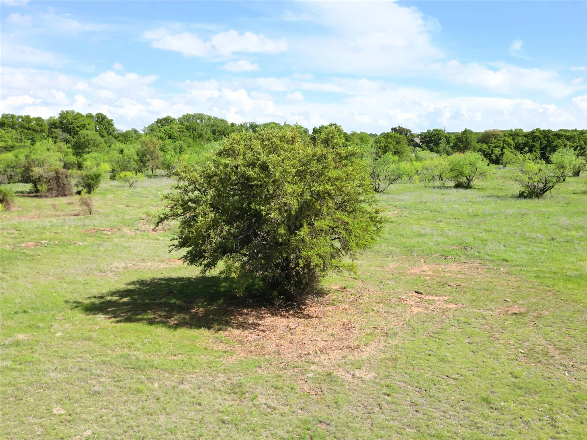 Ranch For Sale in Eastland County , Tract 1 FM 2526 & 569, Cisco, Texas 76437, 0, 0, Garage spaces, 0 Sqft, built in 0, mls#21371183, Real Estate Agent in Cisco, Homes For Sale in Eastland county, Homes For Sale in Cisco, Realtor in Cisco Texas, Real Estate Brokerage Independent Realty Texas, Luminita Cordes Realtor
