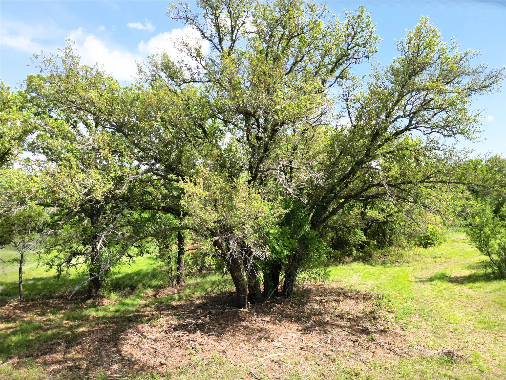 Ranch For Sale in Eastland County , Tract 1 FM 2526 & 569, Cisco, Texas 76437, 0, 0, Garage spaces, 0 Sqft, built in 0, mls#21371183, Real Estate Agent in Cisco, Homes For Sale in Eastland county, Homes For Sale in Cisco, Realtor in Cisco Texas, Real Estate Brokerage Independent Realty Texas, Luminita Cordes Realtor