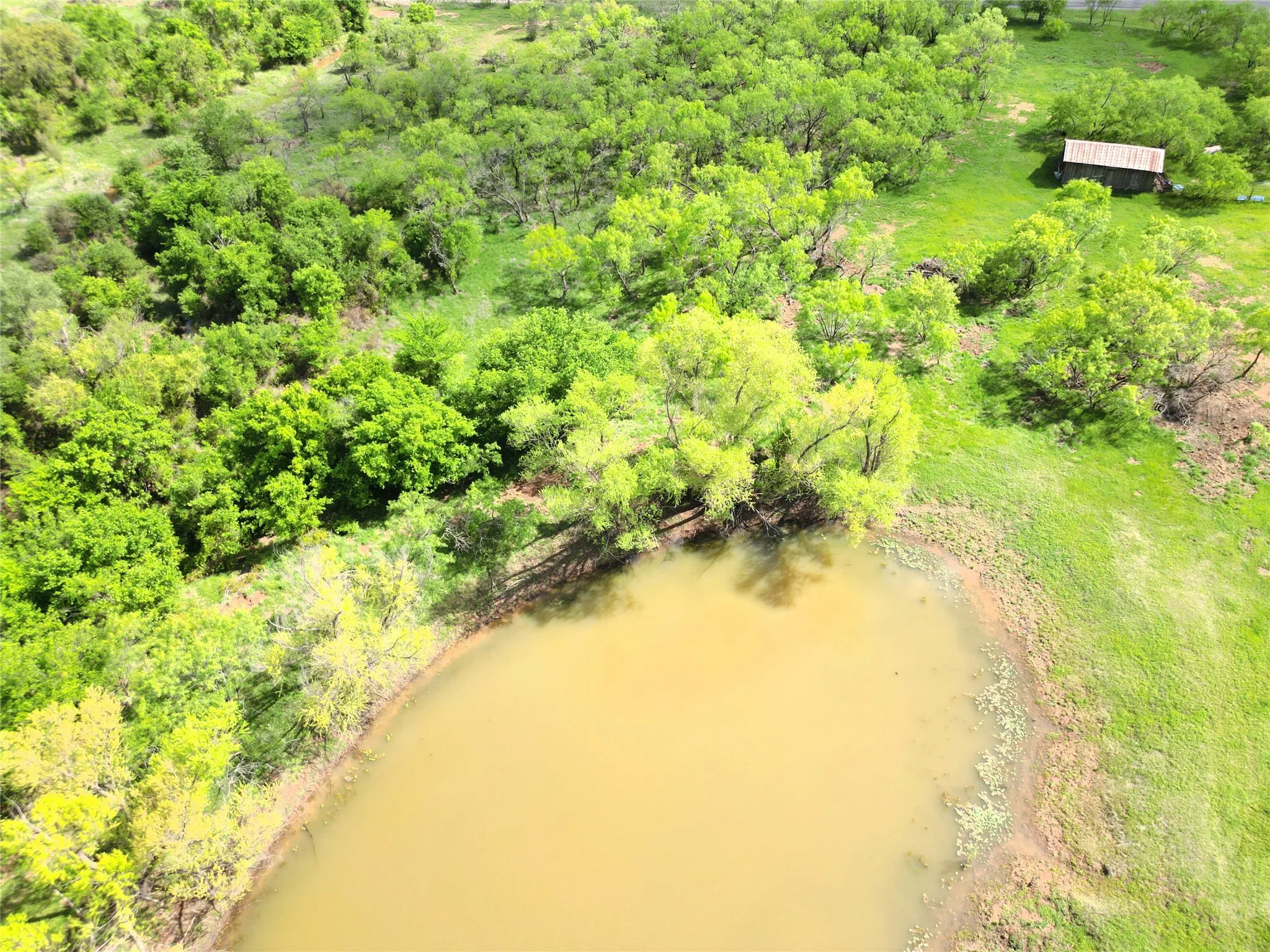 Ranch For Sale in Eastland County , Tract 1 FM 2526 & 569, Cisco, Texas 76437, 0, 0, Garage spaces, 0 Sqft, built in 0, mls#21371183, Real Estate Agent in Cisco, Homes For Sale in Eastland county, Homes For Sale in Cisco, Realtor in Cisco Texas, Real Estate Brokerage Independent Realty Texas, Luminita Cordes Realtor
