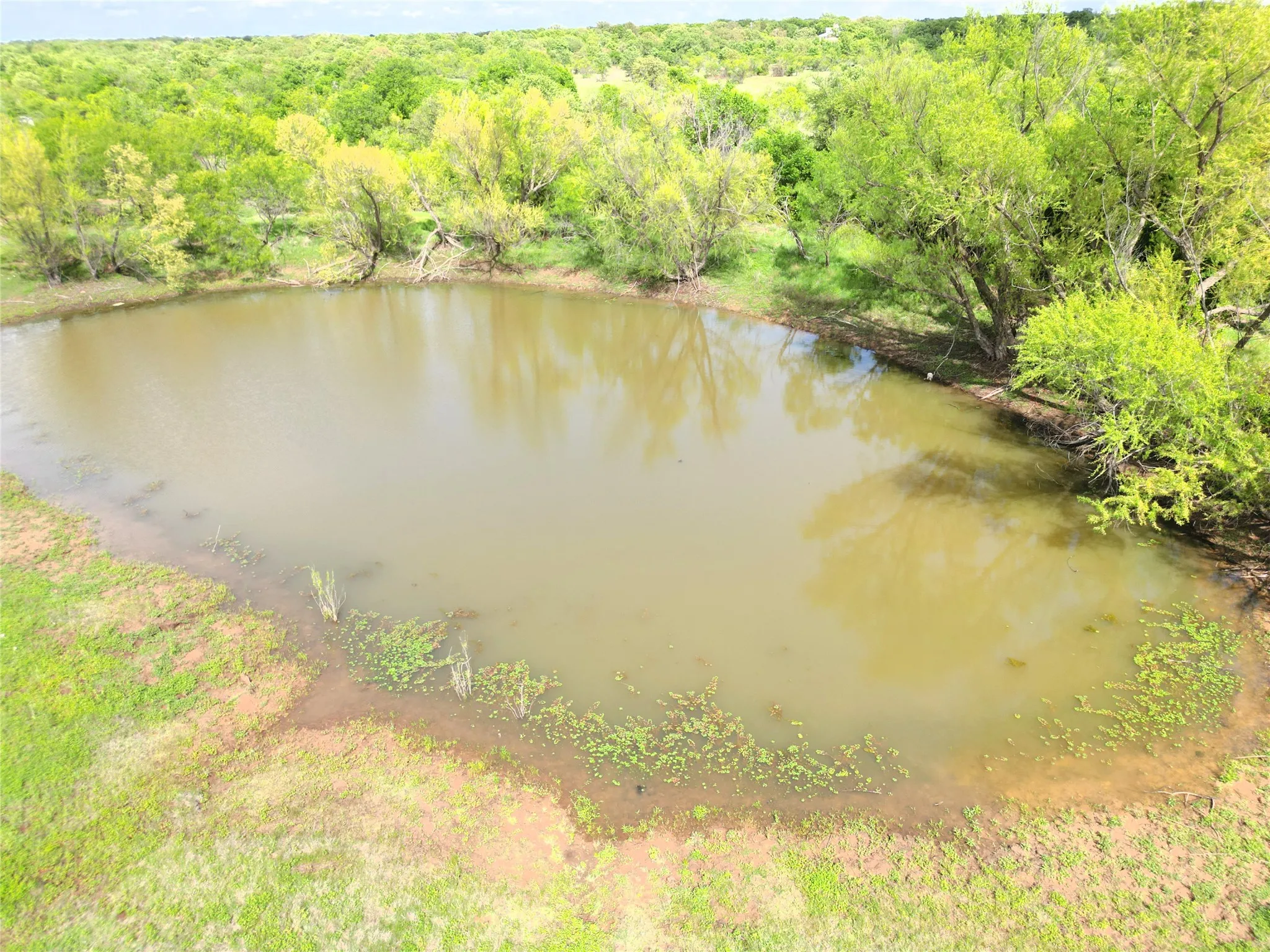 Ranch For Sale in Eastland County , Tract 1 FM 2526 & 569, Cisco, Texas 76437, 0, 0, Garage spaces, 0 Sqft, built in 0, mls#21371183, Real Estate Agent in Cisco, Homes For Sale in Eastland county, Homes For Sale in Cisco, Realtor in Cisco Texas, Real Estate Brokerage Independent Realty Texas, Luminita Cordes Realtor