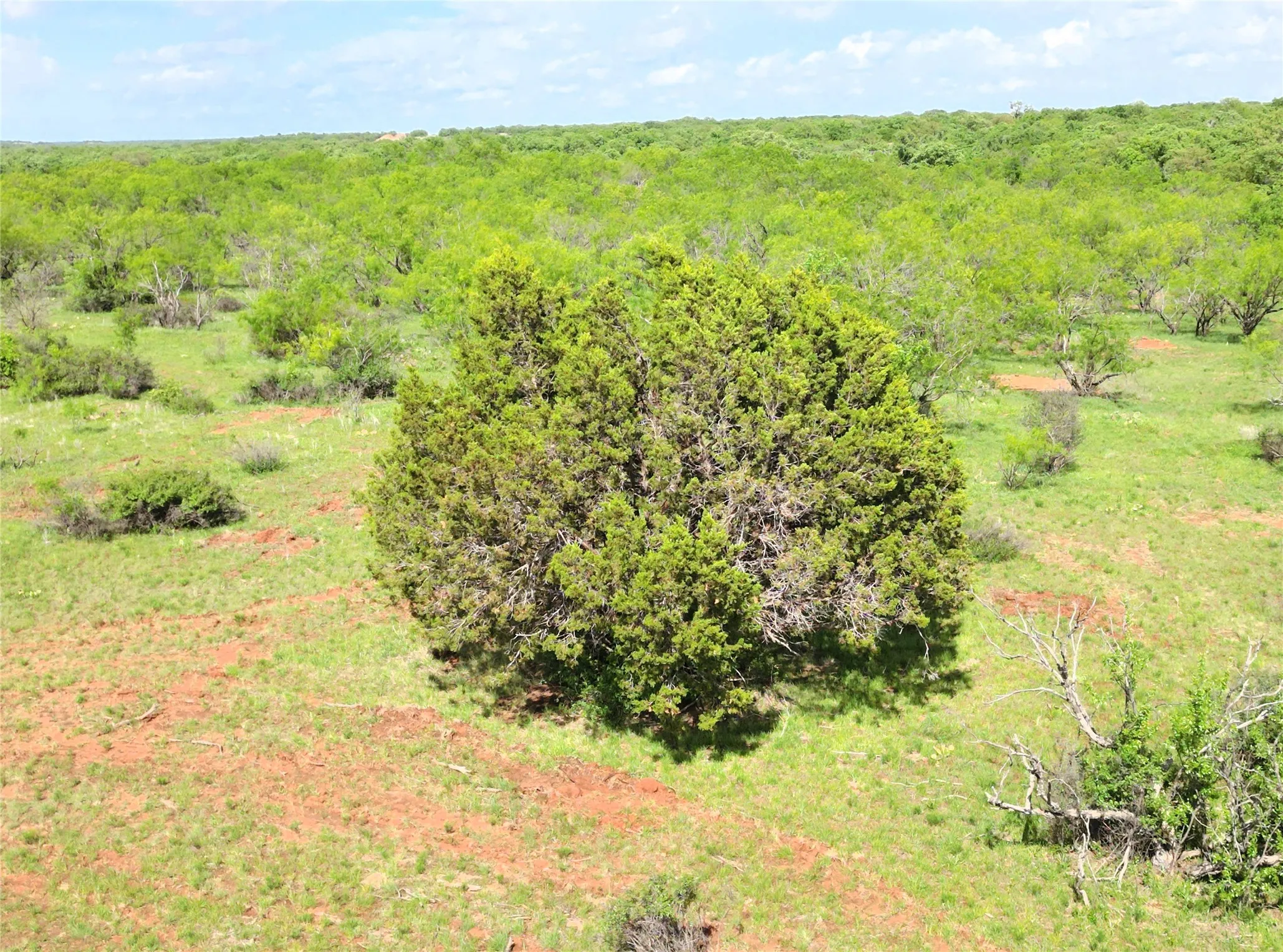Ranch For Sale in Eastland County , Tract 1 FM 2526 & 569, Cisco, Texas 76437, 0, 0, Garage spaces, 0 Sqft, built in 0, mls#21371183, Real Estate Agent in Cisco, Homes For Sale in Eastland county, Homes For Sale in Cisco, Realtor in Cisco Texas, Real Estate Brokerage Independent Realty Texas, Luminita Cordes Realtor