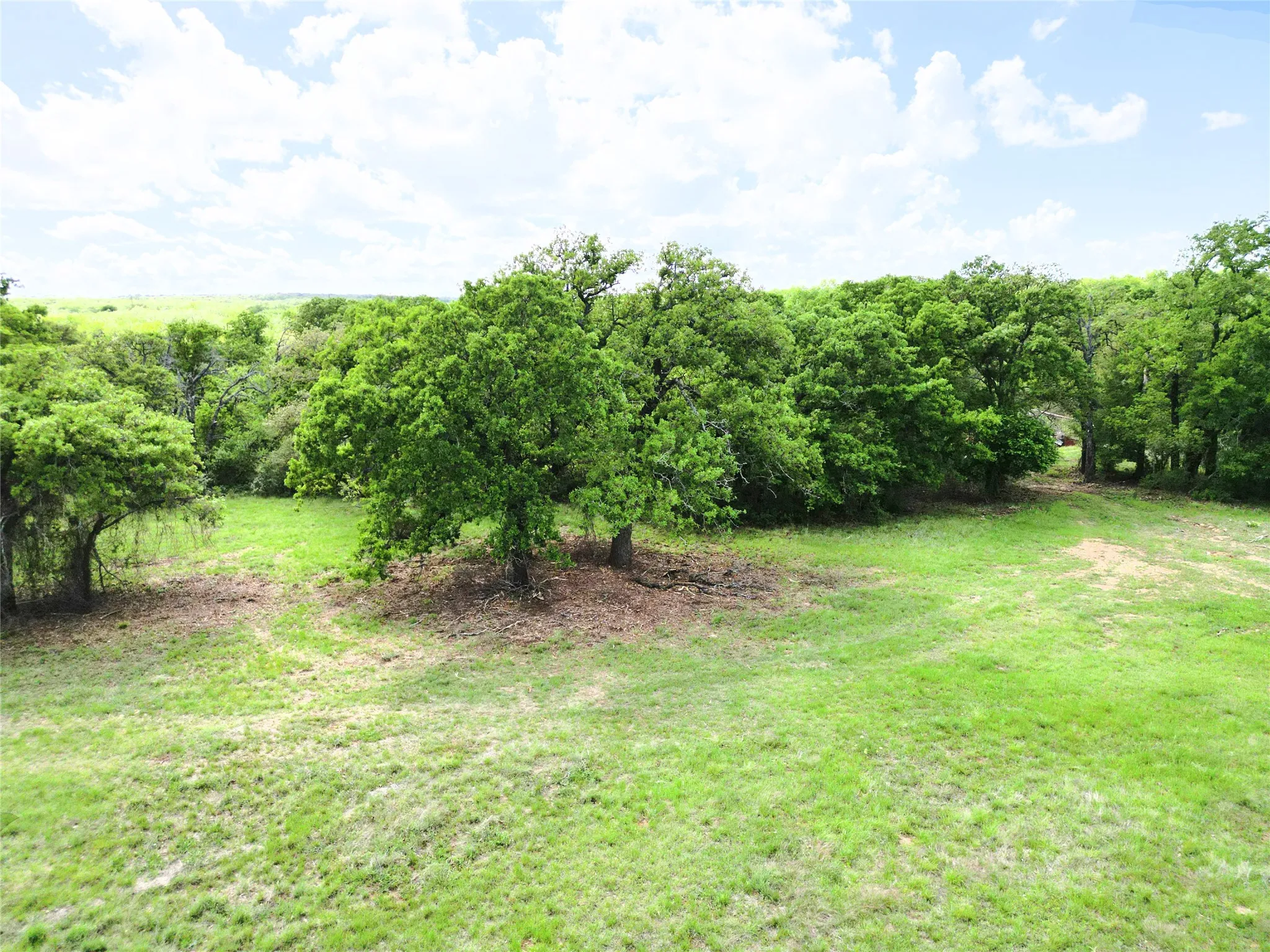 Ranch For Sale in Eastland County , Tract 1 FM 2526 & 569, Cisco, Texas 76437, 0, 0, Garage spaces, 0 Sqft, built in 0, mls#21371183, Real Estate Agent in Cisco, Homes For Sale in Eastland county, Homes For Sale in Cisco, Realtor in Cisco Texas, Real Estate Brokerage Independent Realty Texas, Luminita Cordes Realtor