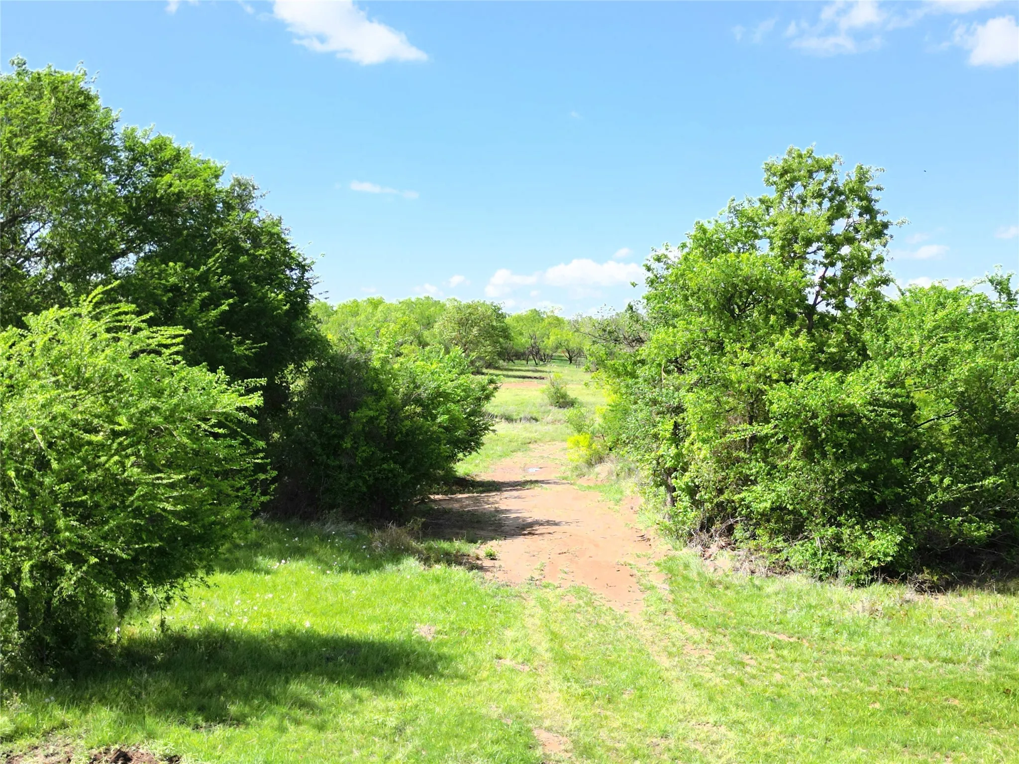 Ranch For Sale in Eastland County , Tract 1 FM 2526 & 569, Cisco, Texas 76437, 0, 0, Garage spaces, 0 Sqft, built in 0, mls#21371183, Real Estate Agent in Cisco, Homes For Sale in Eastland county, Homes For Sale in Cisco, Realtor in Cisco Texas, Real Estate Brokerage Independent Realty Texas, Luminita Cordes Realtor
