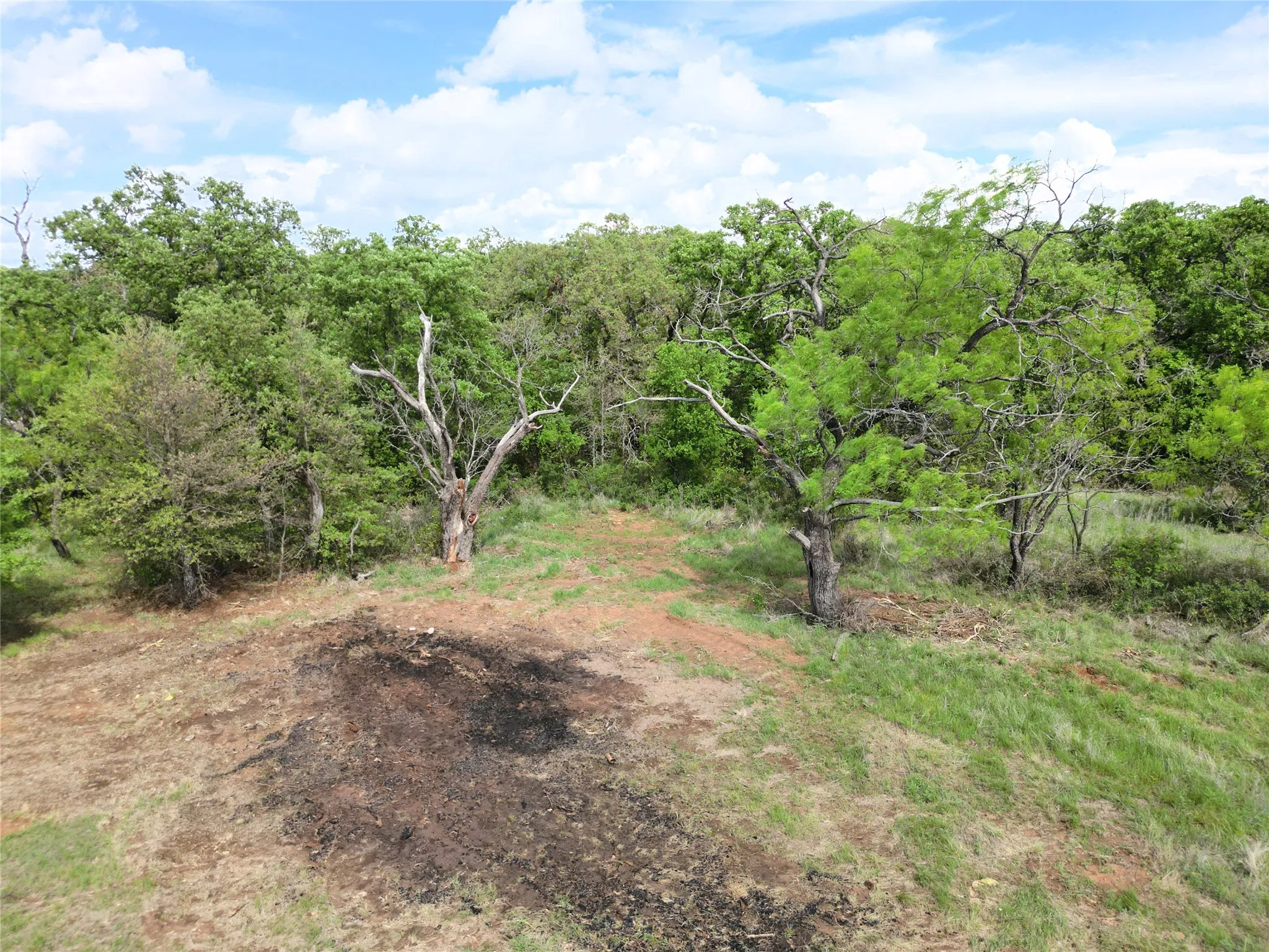 Ranch For Sale in Eastland County , Tract 1 FM 2526 & 569, Cisco, Texas 76437, 0, 0, Garage spaces, 0 Sqft, built in 0, mls#21371183, Real Estate Agent in Cisco, Homes For Sale in Eastland county, Homes For Sale in Cisco, Realtor in Cisco Texas, Real Estate Brokerage Independent Realty Texas, Luminita Cordes Realtor