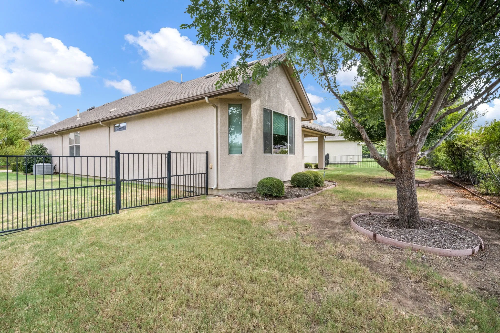 Large back yard with plenty of space