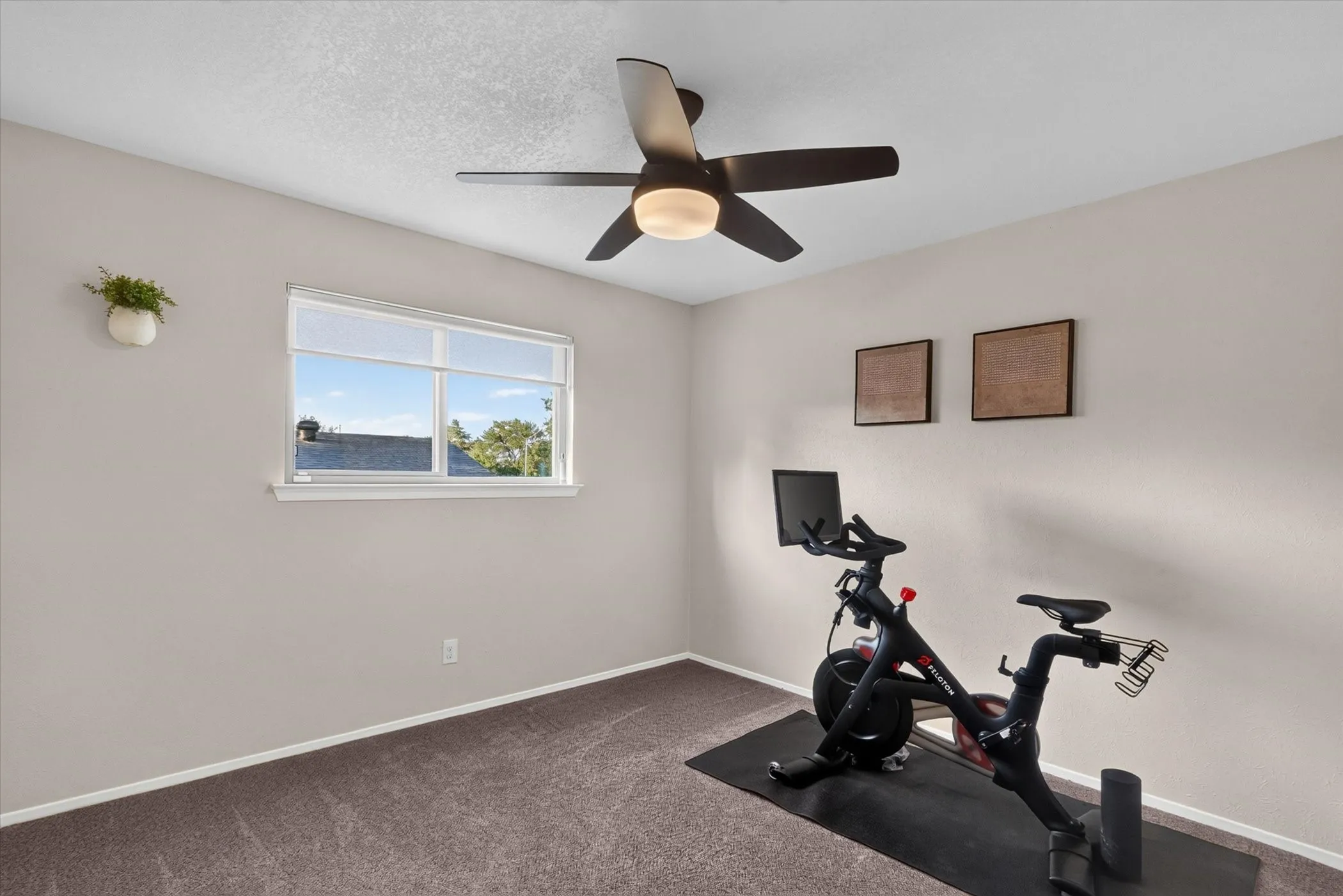 Recessed window with white trim, dark gray carpeting, and a ceiling fan with integrated lighting