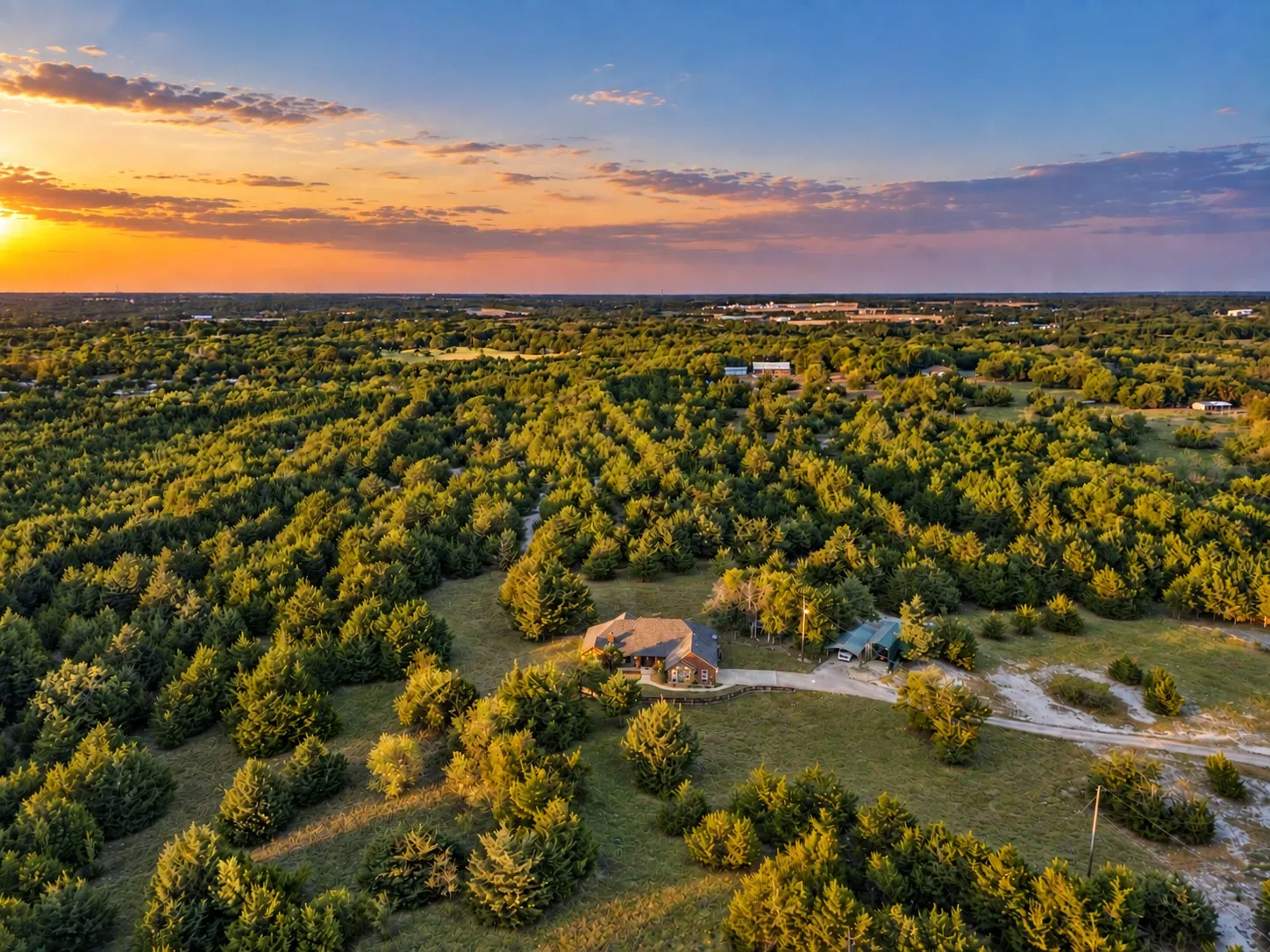 Single Family Residence For Sale in Grayson County , 171 Chestnut Road, Whitewright, Texas 75491, 4 Bedroom, 2 Bathroom, 2 Garage spaces, 2,288 Sqft, built in 2006, mls#21369553, Real Estate Agent in Whitewright, Homes For Sale in Grayson county, Homes For Sale in Whitewright, Realtor in Whitewright Texas, Real Estate Brokerage Independent Realty Texas, Luminita Cordes Realtor