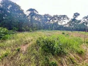 Unimproved Land For Sale in Parker County , 1017 Ironwood Way, Poolville, Texas 76487, 0, 0, Garage spaces, 0 Sqft, built in 0, mls#21369870, Real Estate Agent in Poolville, Homes For Sale in Parker county, Homes For Sale in Poolville, Realtor in Poolville Texas, Real Estate Brokerage Independent Realty Texas, Luminita Cordes Realtor