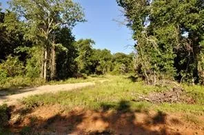 Unimproved Land For Sale in Parker County , 1017 Ironwood Way, Poolville, Texas 76487, 0, 0, Garage spaces, 0 Sqft, built in 0, mls#21369870, Real Estate Agent in Poolville, Homes For Sale in Parker county, Homes For Sale in Poolville, Realtor in Poolville Texas, Real Estate Brokerage Independent Realty Texas, Luminita Cordes Realtor