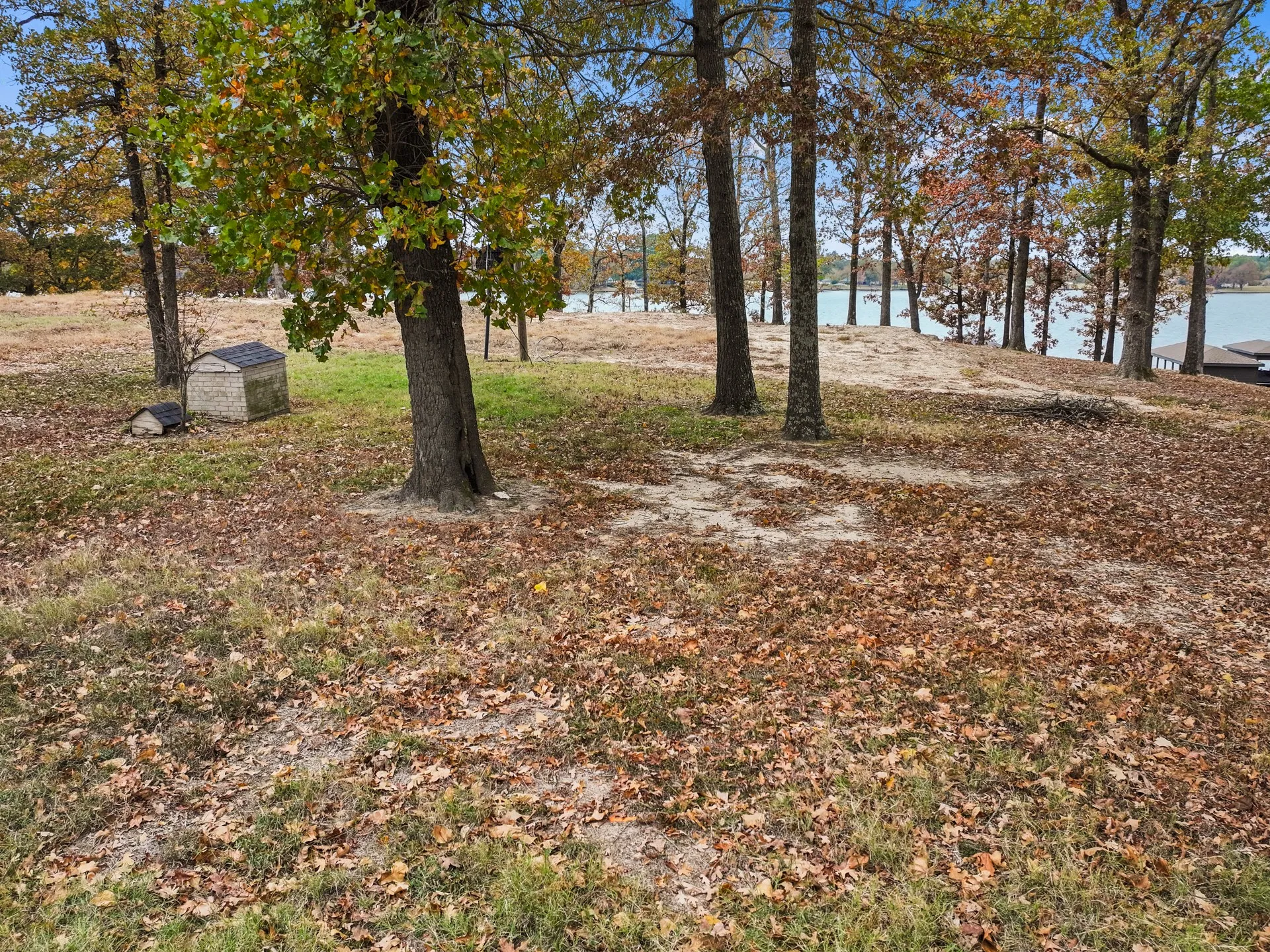 Unimproved Land For Sale in Camp County , 602 County Road 2127, Pittsburg, Texas 75686, 0, 0, Garage spaces, 0 Sqft, built in 0, mls#21363121, Real Estate Agent in Pittsburg, Homes For Sale in Camp county, Homes For Sale in Pittsburg, Realtor in Pittsburg Texas, Real Estate Brokerage Independent Realty Texas, Luminita Cordes Realtor