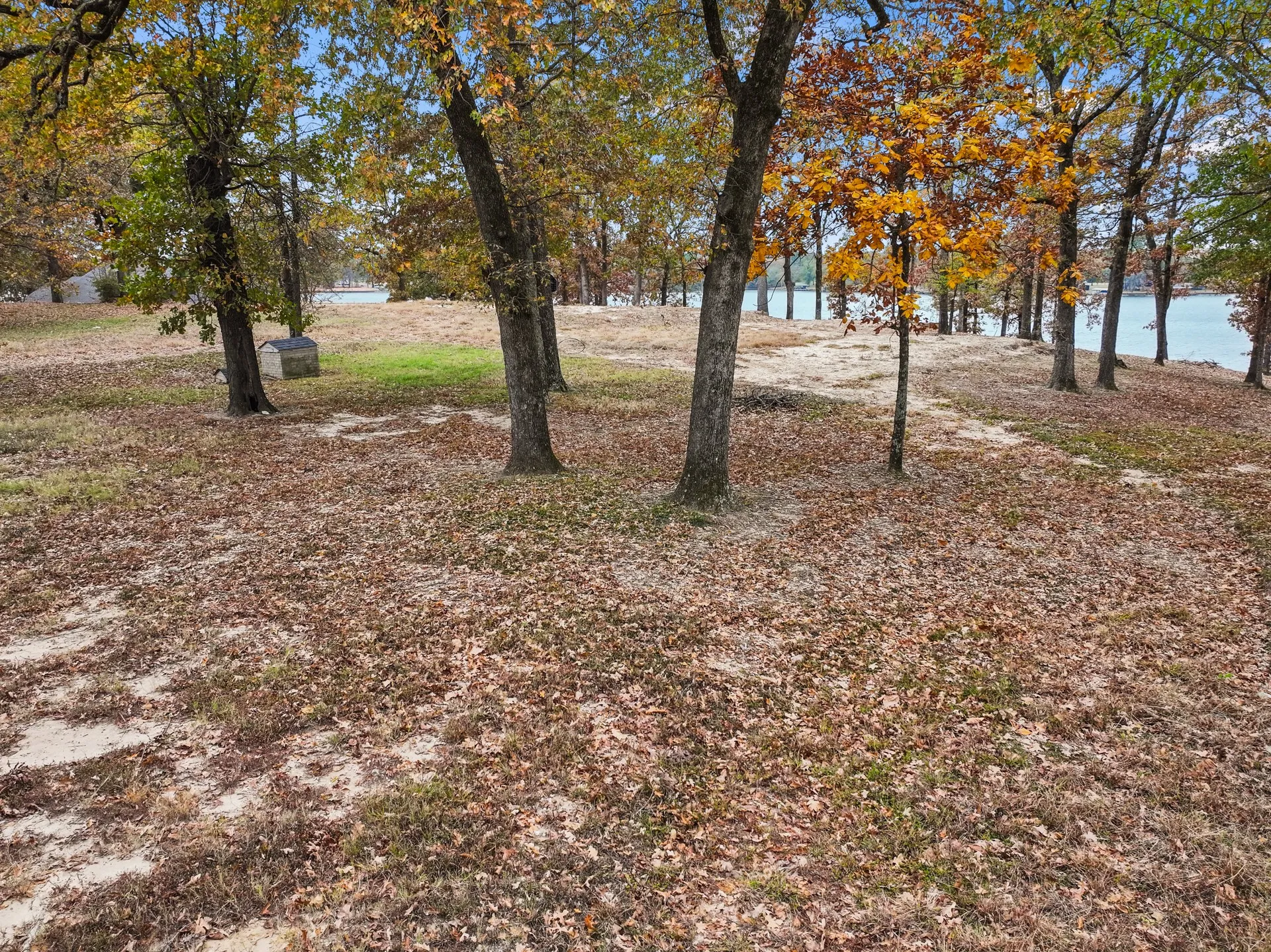 Unimproved Land For Sale in Camp County , 602 County Road 2127, Pittsburg, Texas 75686, 0, 0, Garage spaces, 0 Sqft, built in 0, mls#21363121, Real Estate Agent in Pittsburg, Homes For Sale in Camp county, Homes For Sale in Pittsburg, Realtor in Pittsburg Texas, Real Estate Brokerage Independent Realty Texas, Luminita Cordes Realtor