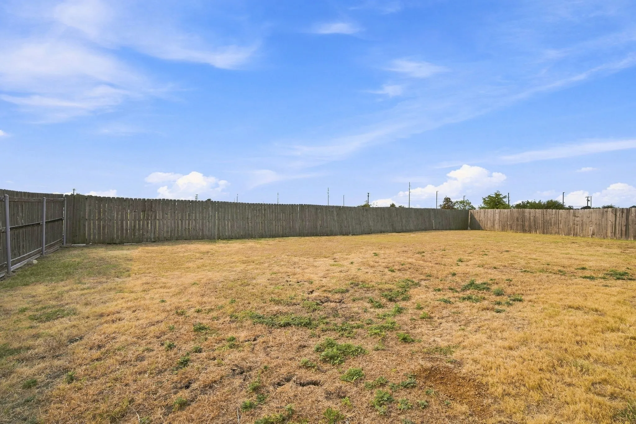 Large fenced backyard