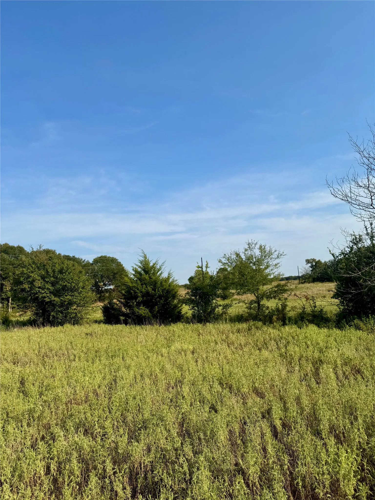 Unimproved Land For Sale in Delta County , 0000 CR 2185, Klondike, Texas 75448, 0, 0, Garage spaces, 0 Sqft, built in 0, mls#21367762, Real Estate Agent in Klondike, Homes For Sale in Delta county, Homes For Sale in Klondike, Realtor in Klondike Texas, Real Estate Brokerage Independent Realty Texas, Luminita Cordes Realtor
