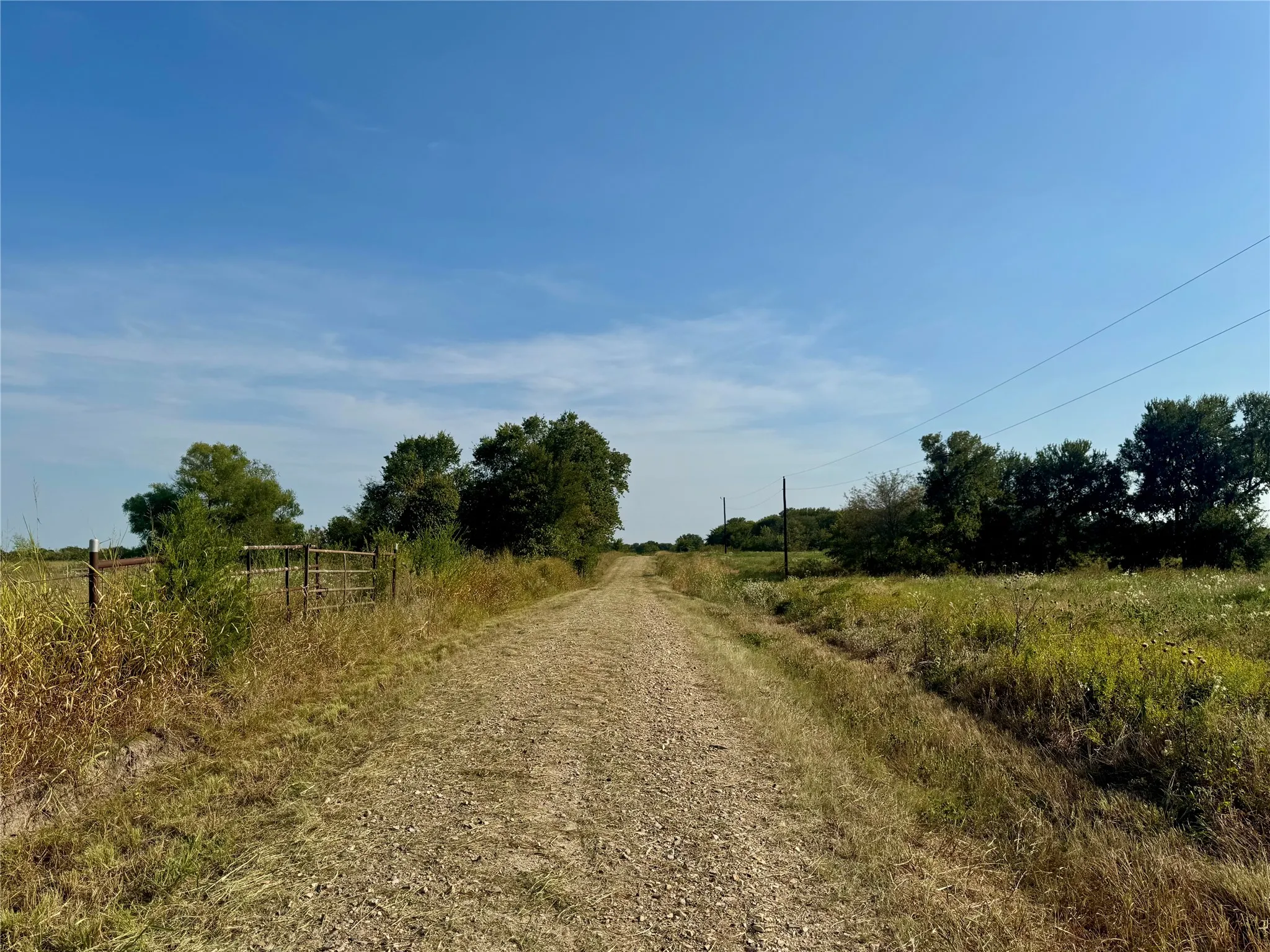 Unimproved Land For Sale in Delta County , 0000 CR 2185, Klondike, Texas 75448, 0, 0, Garage spaces, 0 Sqft, built in 0, mls#21367762, Real Estate Agent in Klondike, Homes For Sale in Delta county, Homes For Sale in Klondike, Realtor in Klondike Texas, Real Estate Brokerage Independent Realty Texas, Luminita Cordes Realtor