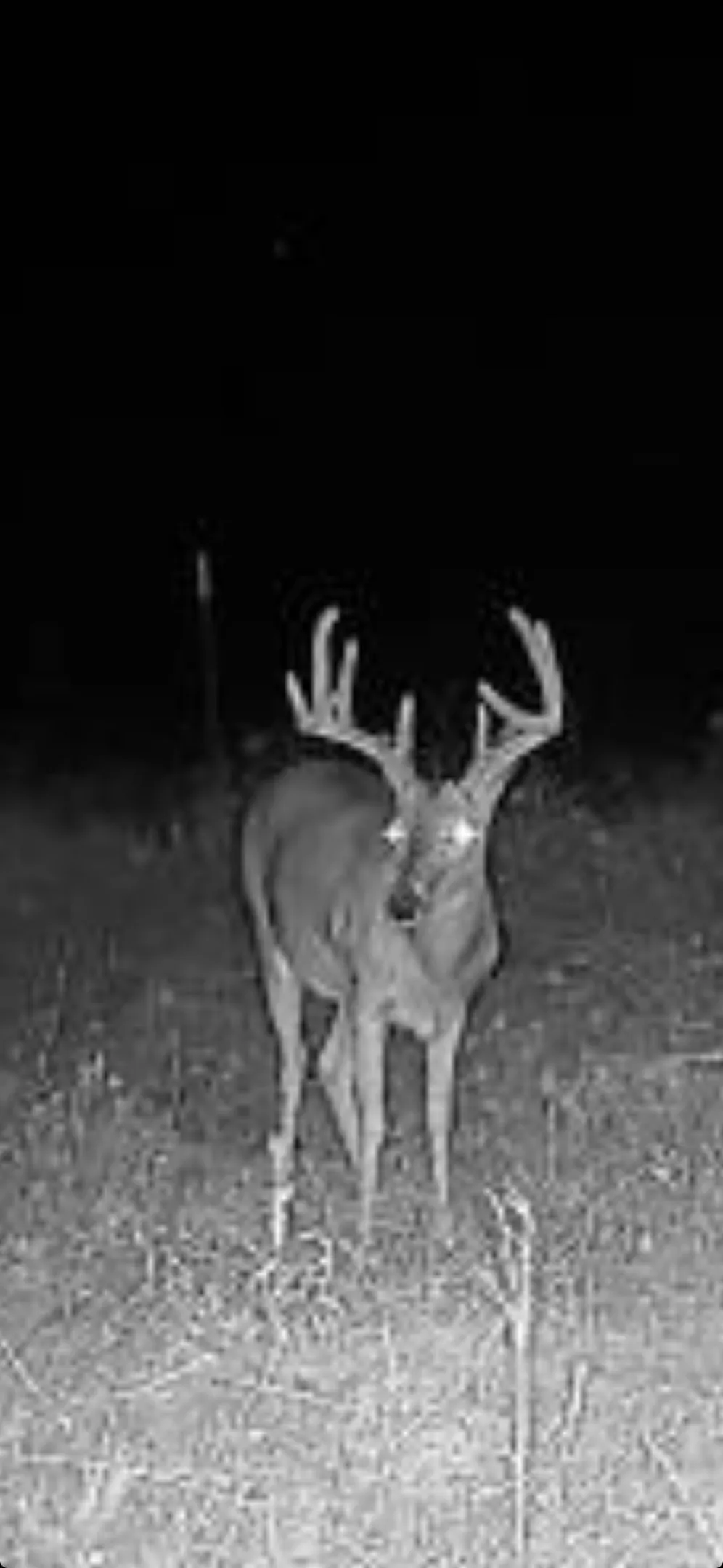Unimproved Land For Sale in Delta County , 0000 CR 2185, Klondike, Texas 75448, 0, 0, Garage spaces, 0 Sqft, built in 0, mls#21367762, Real Estate Agent in Klondike, Homes For Sale in Delta county, Homes For Sale in Klondike, Realtor in Klondike Texas, Real Estate Brokerage Independent Realty Texas, Luminita Cordes Realtor