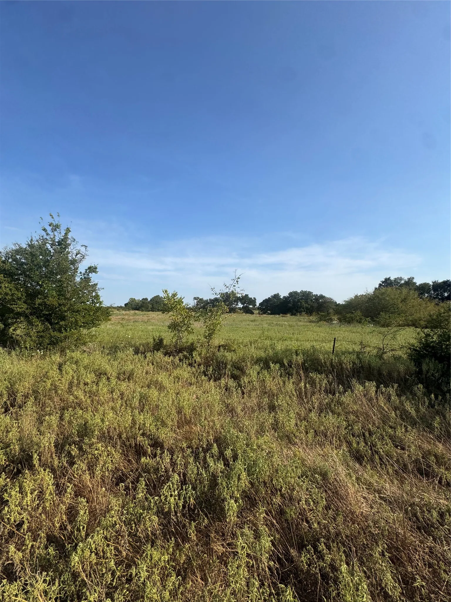 Unimproved Land For Sale in Delta County , 0000 CR 2185, Klondike, Texas 75448, 0, 0, Garage spaces, 0 Sqft, built in 0, mls#21367762, Real Estate Agent in Klondike, Homes For Sale in Delta county, Homes For Sale in Klondike, Realtor in Klondike Texas, Real Estate Brokerage Independent Realty Texas, Luminita Cordes Realtor