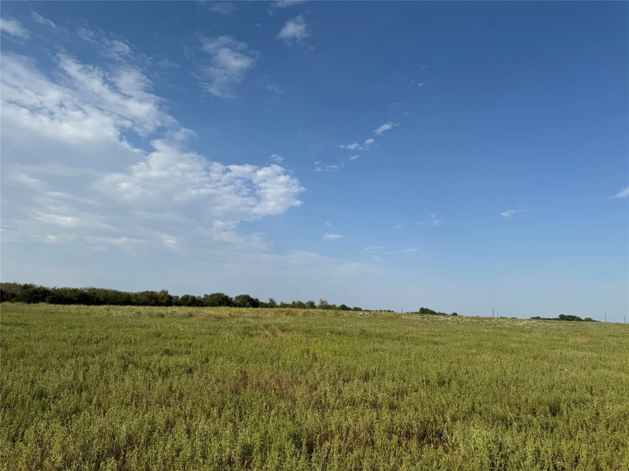 Unimproved Land For Sale in Delta County , 0000 CR 2185, Klondike, Texas 75448, 0, 0, Garage spaces, 0 Sqft, built in 0, mls#21367762, Real Estate Agent in Klondike, Homes For Sale in Delta county, Homes For Sale in Klondike, Realtor in Klondike Texas, Real Estate Brokerage Independent Realty Texas, Luminita Cordes Realtor
