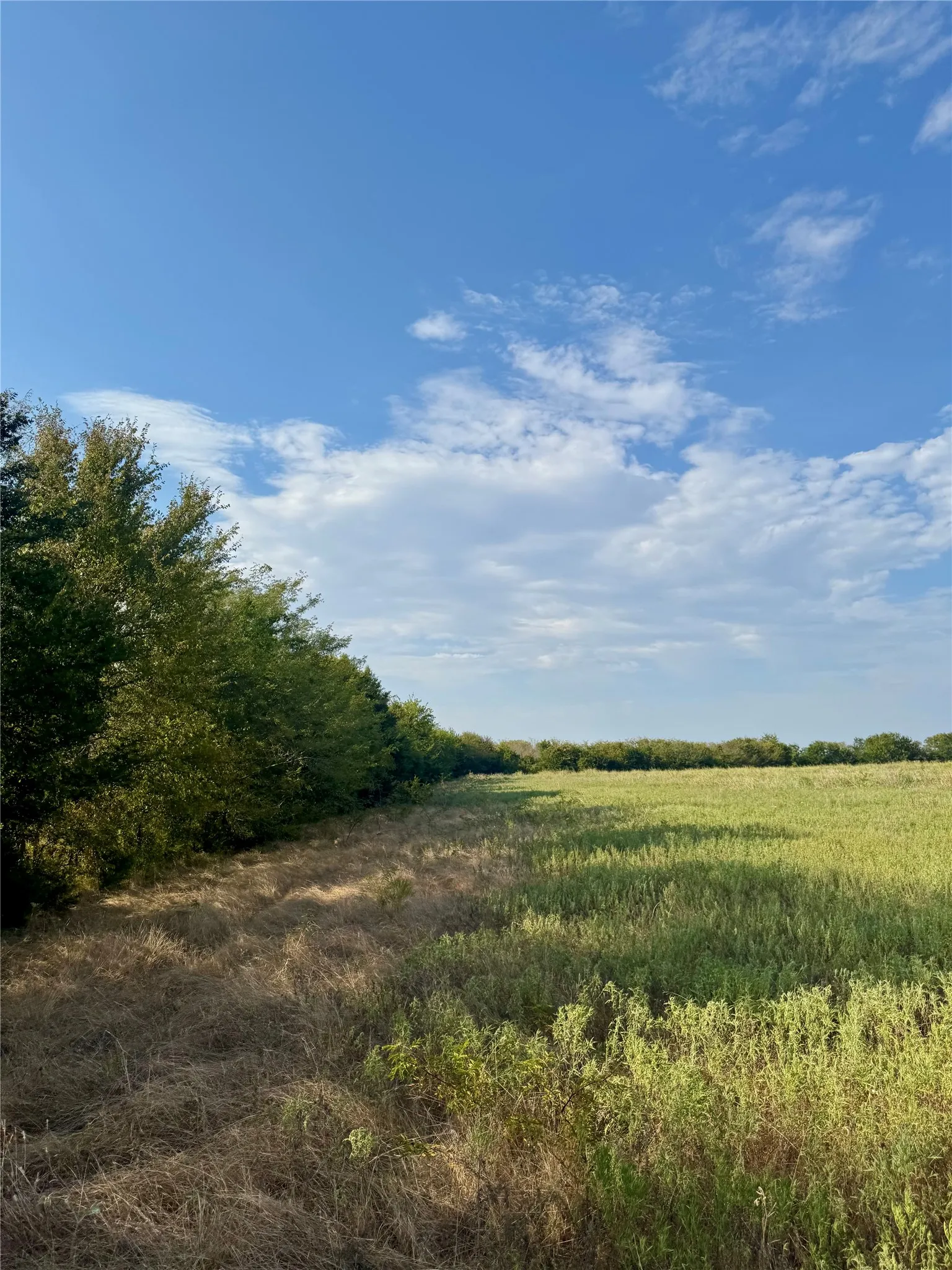 Unimproved Land For Sale in Delta County , 0000 CR 2185, Klondike, Texas 75448, 0, 0, Garage spaces, 0 Sqft, built in 0, mls#21367762, Real Estate Agent in Klondike, Homes For Sale in Delta county, Homes For Sale in Klondike, Realtor in Klondike Texas, Real Estate Brokerage Independent Realty Texas, Luminita Cordes Realtor